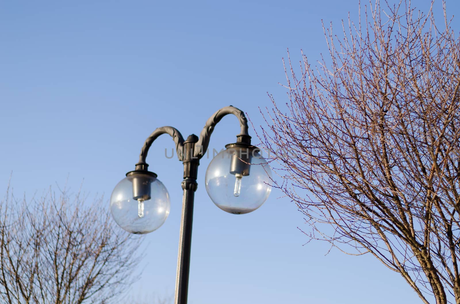 two hoods glass street lamp on blue sky background