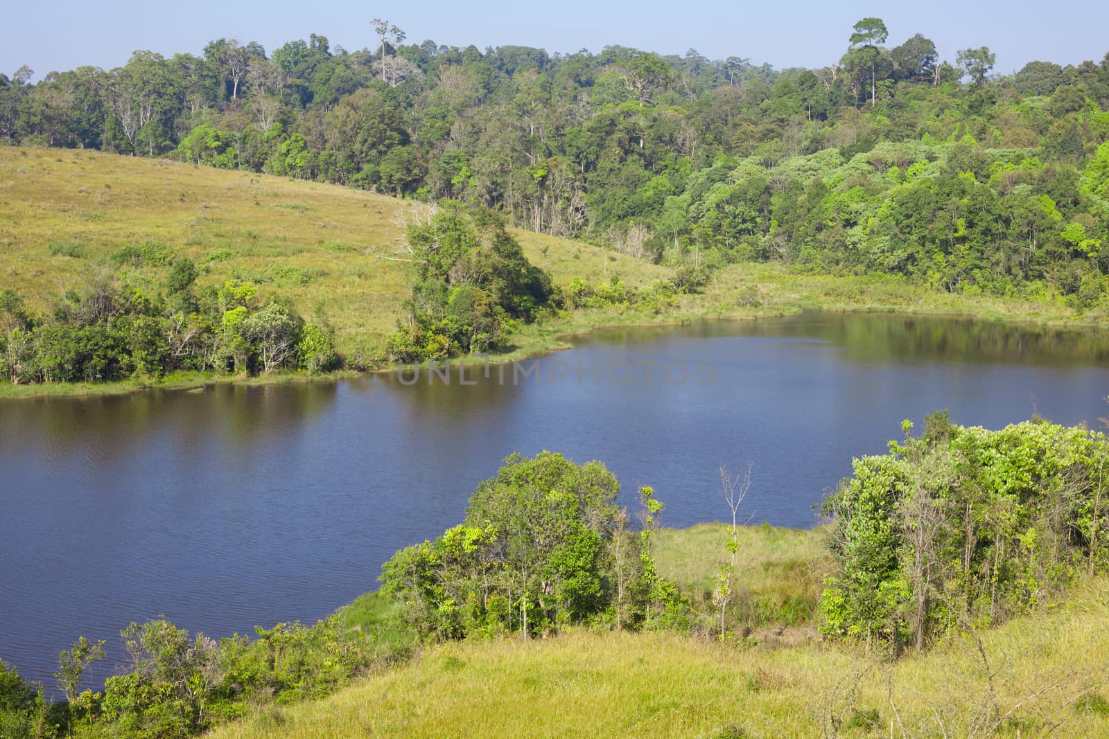 River and forest in Thailand