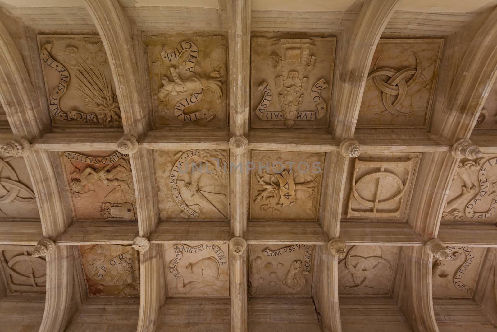 symbolic coffered ceiling of Dampierre-sur-Boutonne castle in charente maritime , France