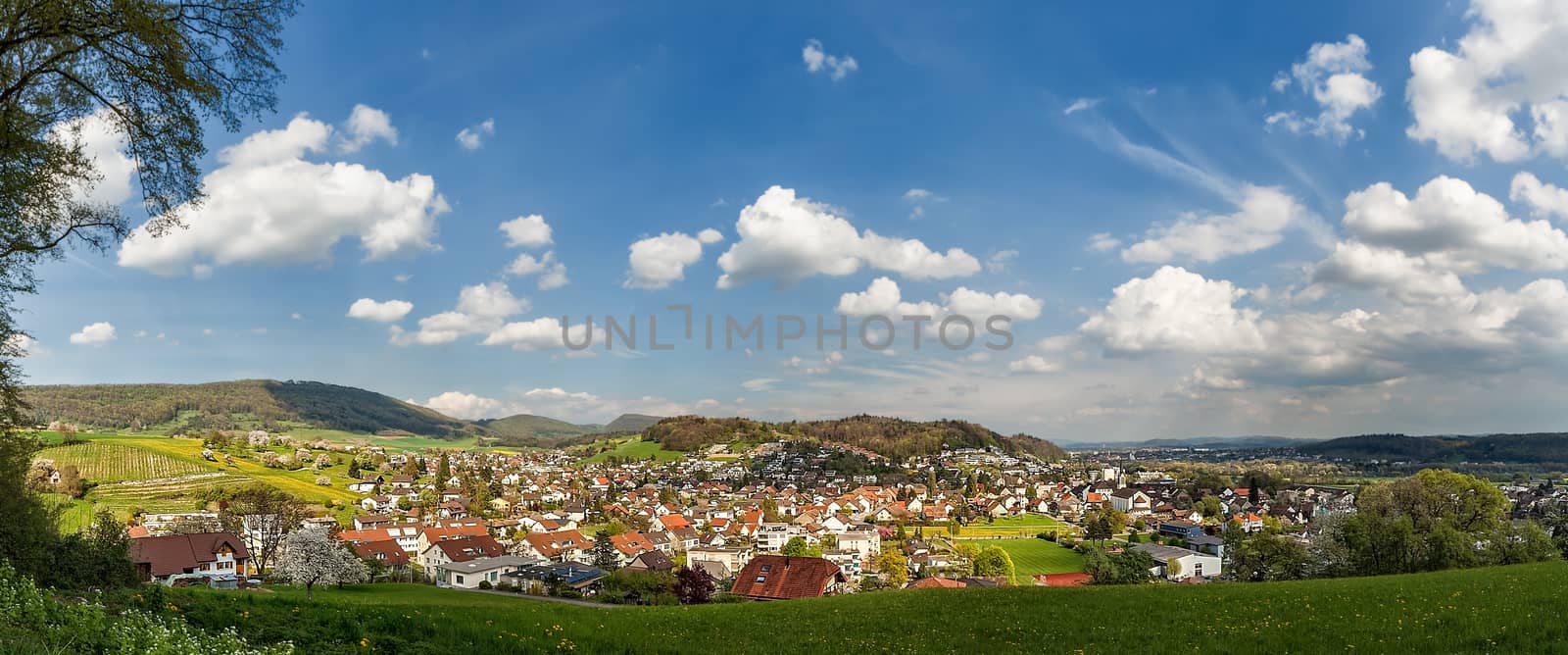 Panorama of Erlinsbach by mot1963