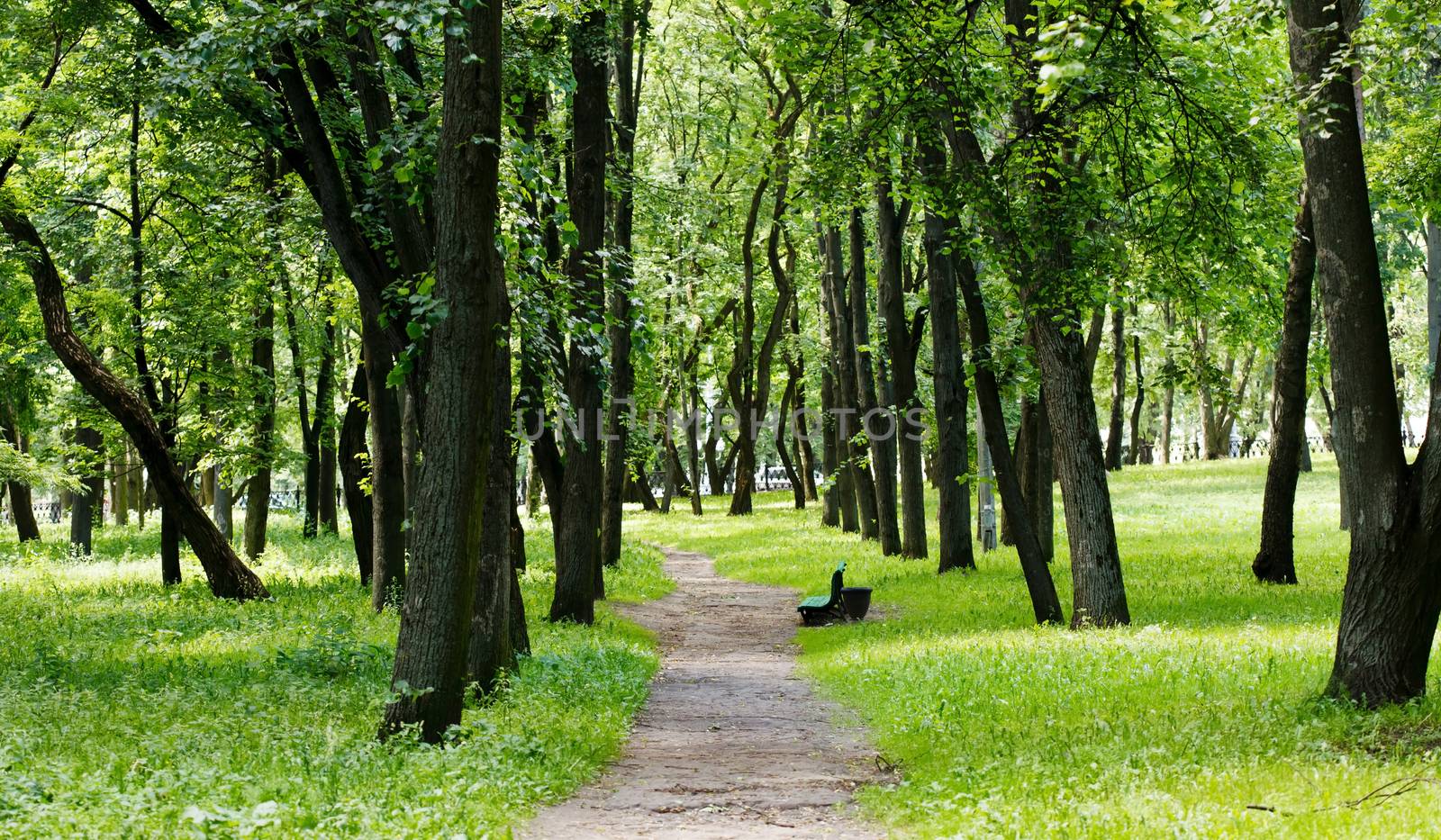 beautiful park by shebeko