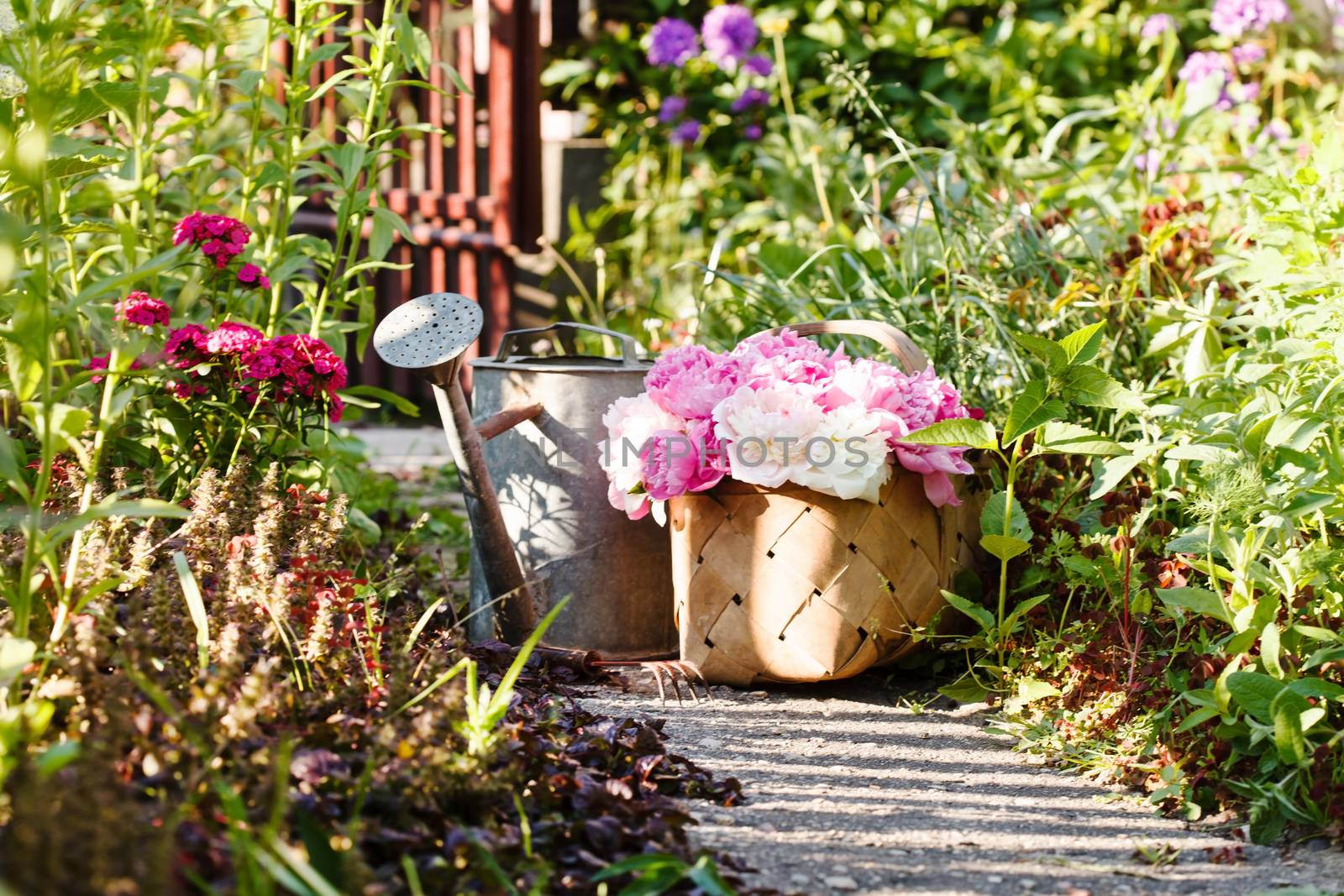 peonies in basket