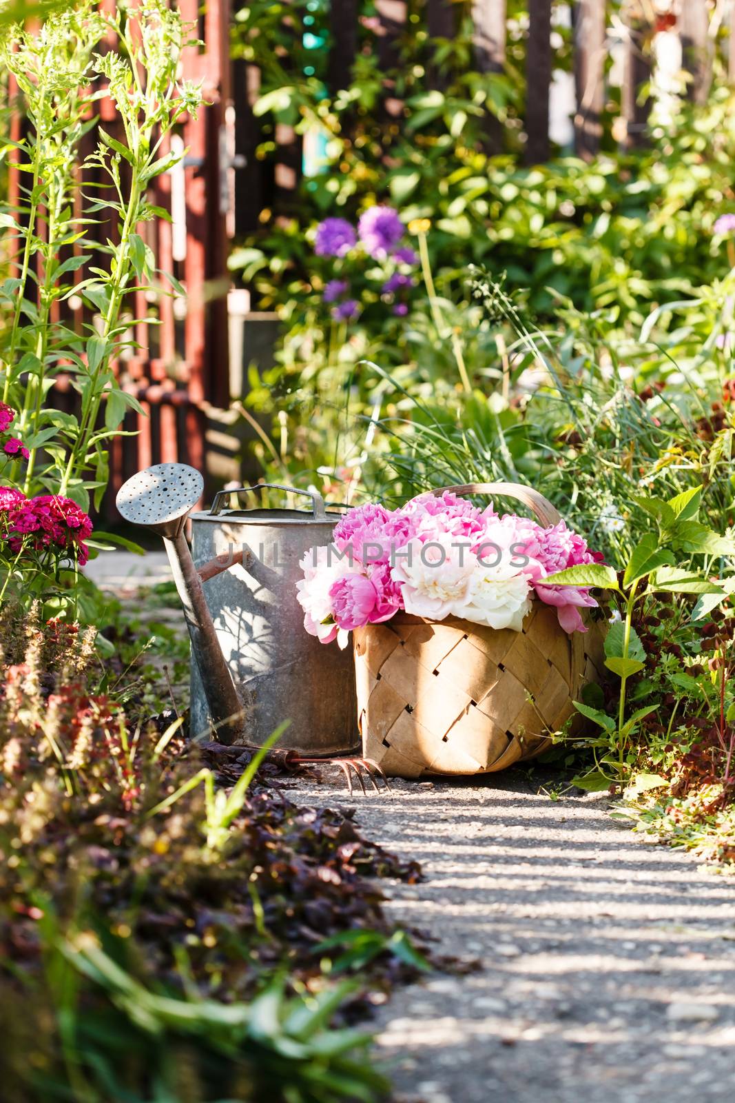 peonies in basket