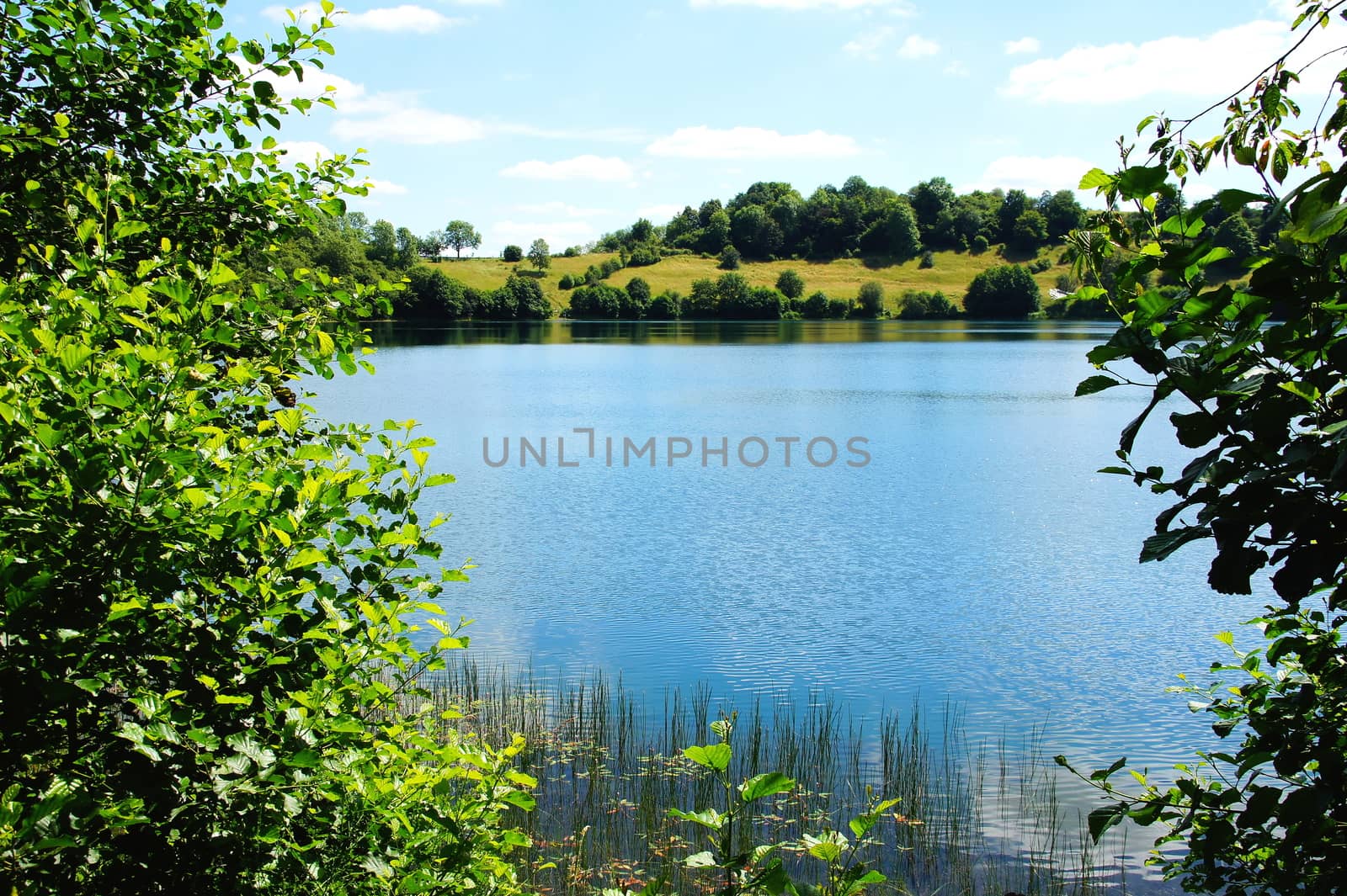 Weinfelder Maar oder auch Totenmaar in der Vulkaneifel 
