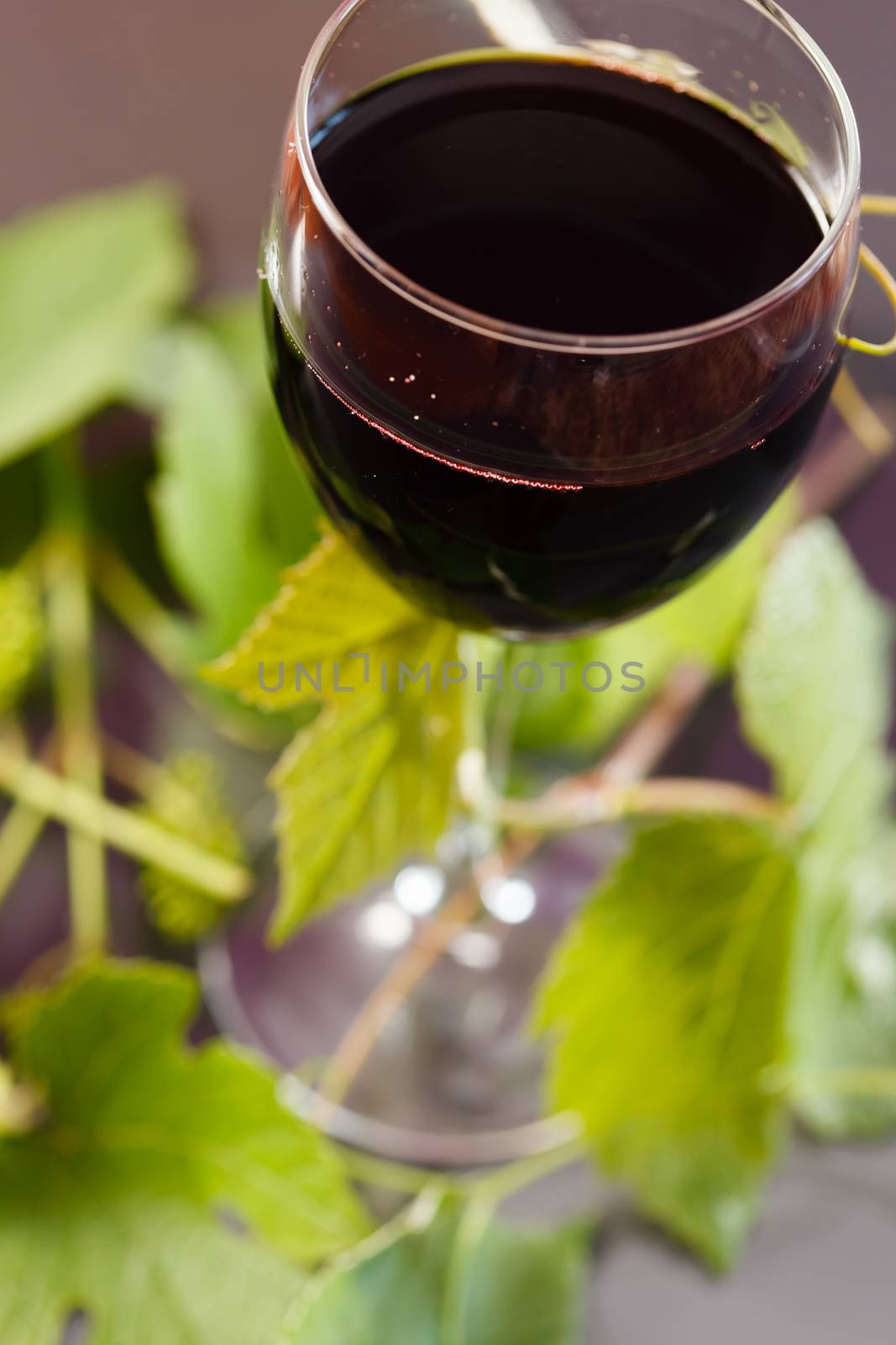 Red wine in glass with grape leaves by shebeko