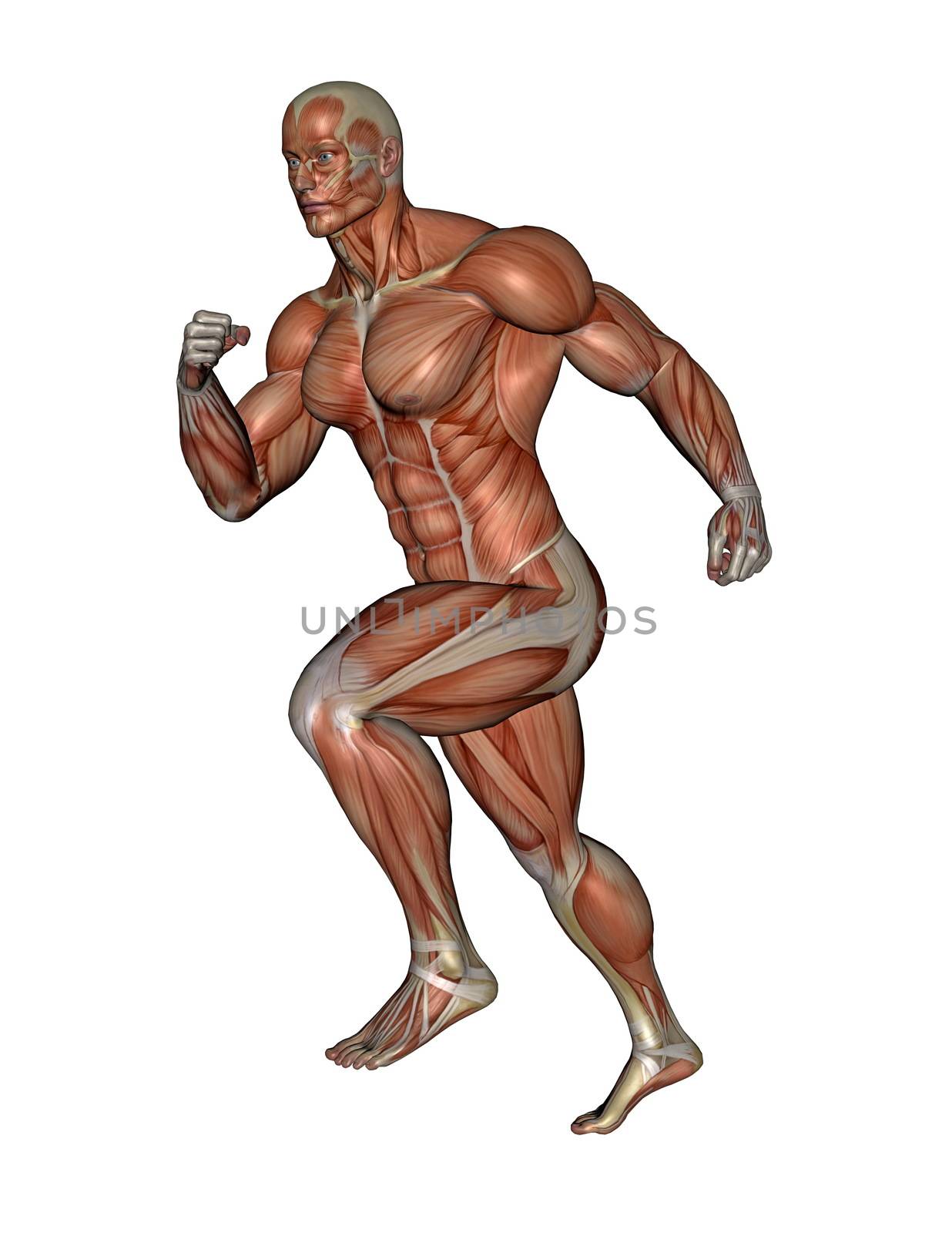 Muscular man running - 3D render by Elenaphotos21