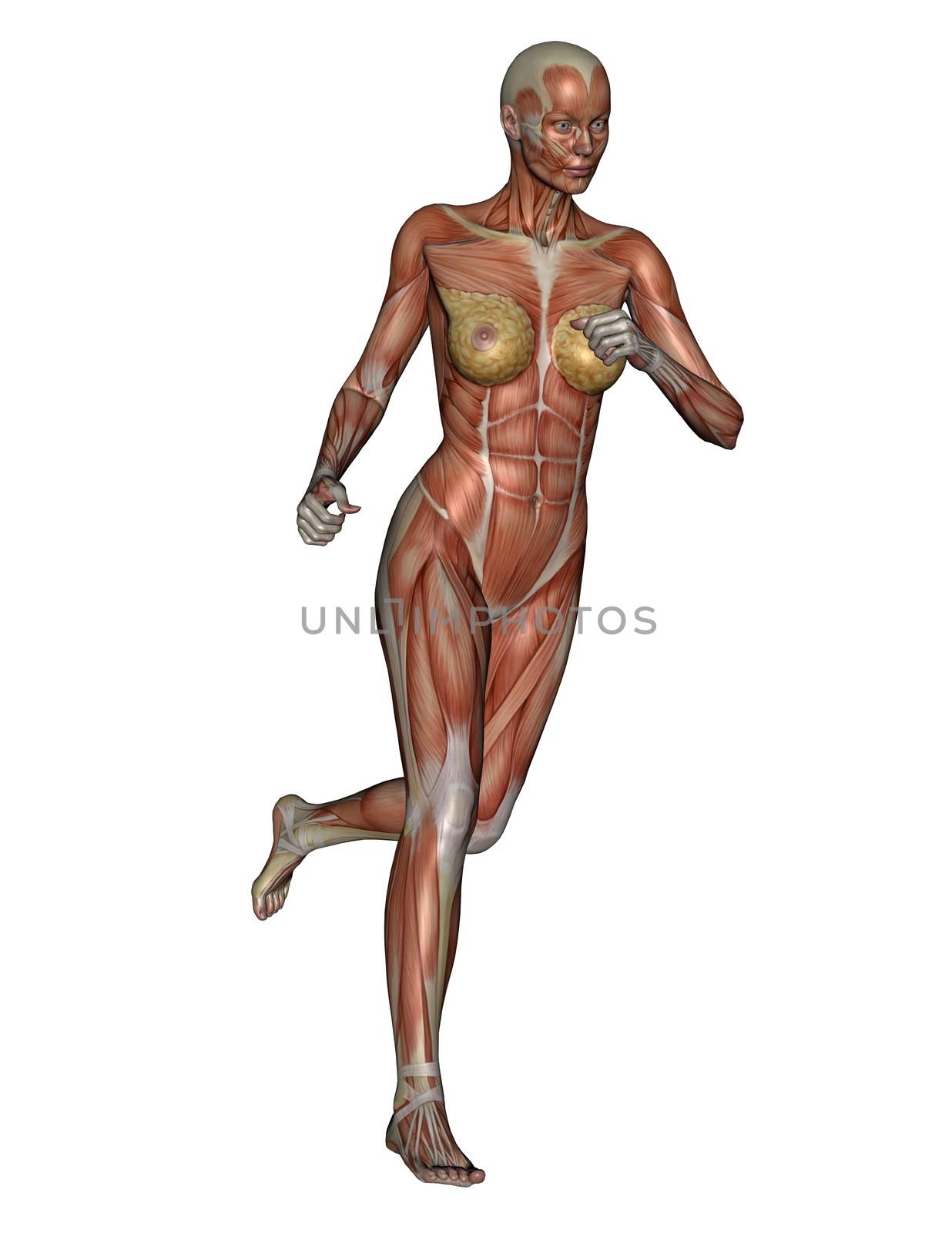 Muscular woman running isolated in white background