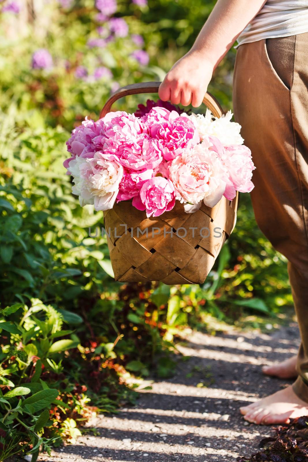 peonies in basket