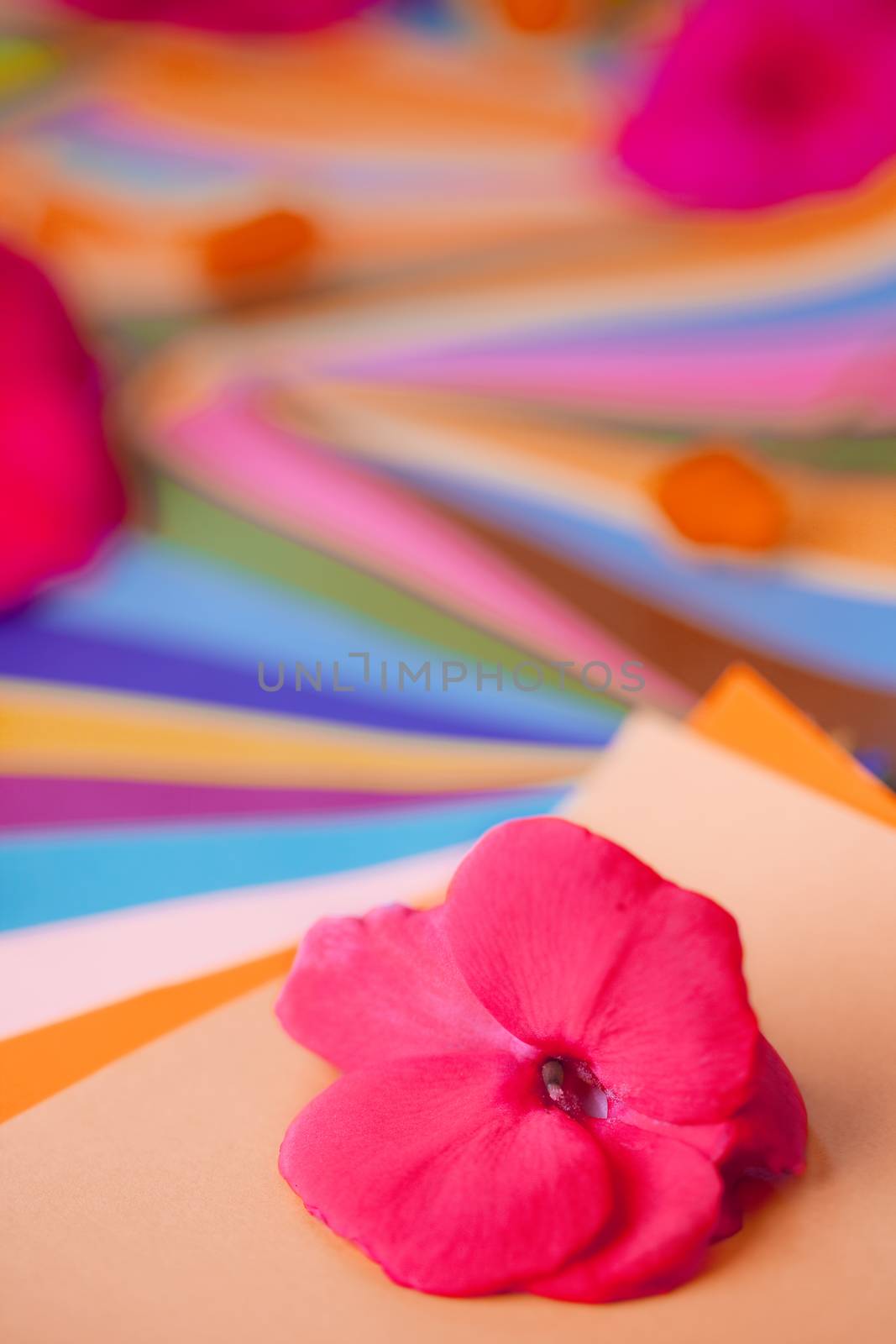 Red and pink flowers on layers of colorful papers by jarenwicklund