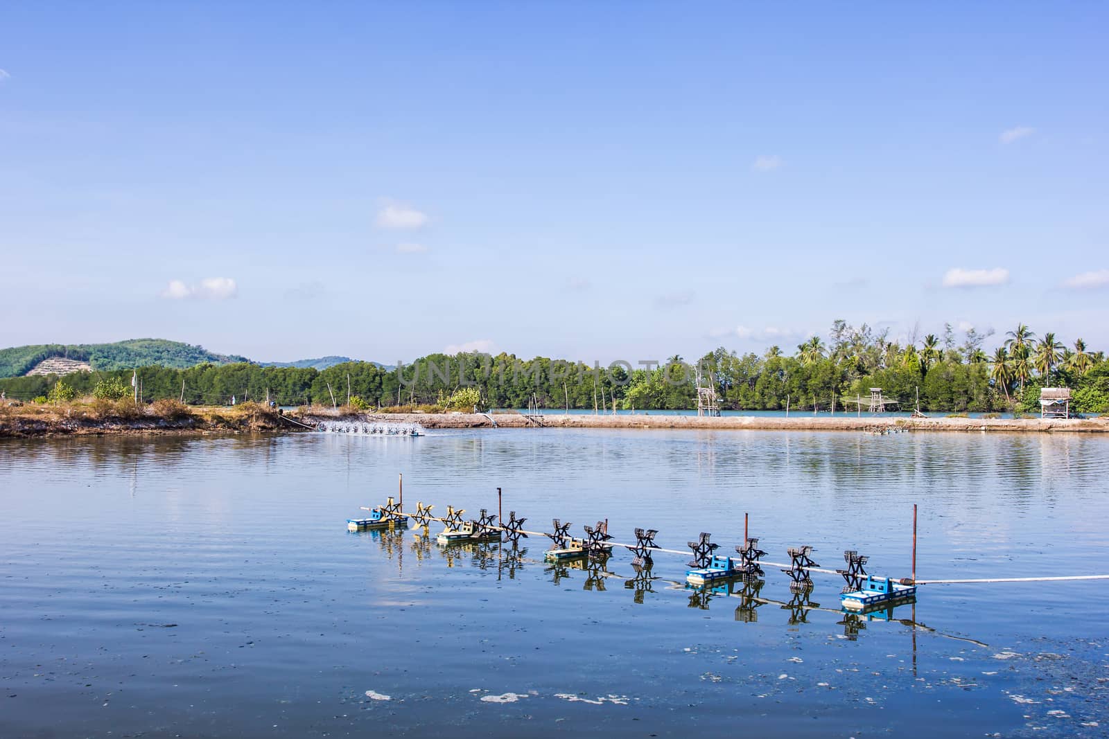 The aeration turbines in the shrimp farm for fresh water by kannapon