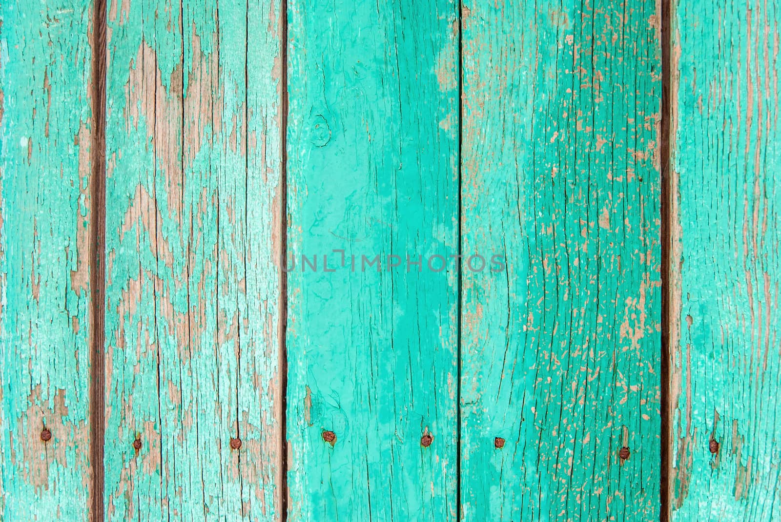 Old green wooden fence background by Zhukow