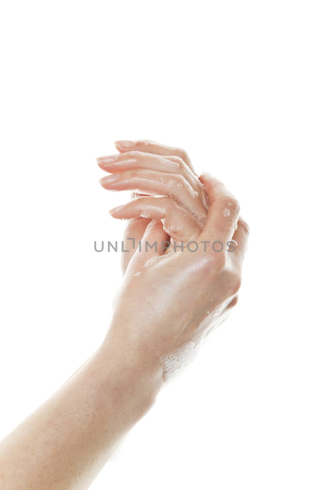 Washing hands in soapy water to stop the spread of germs.  Shot on white background.