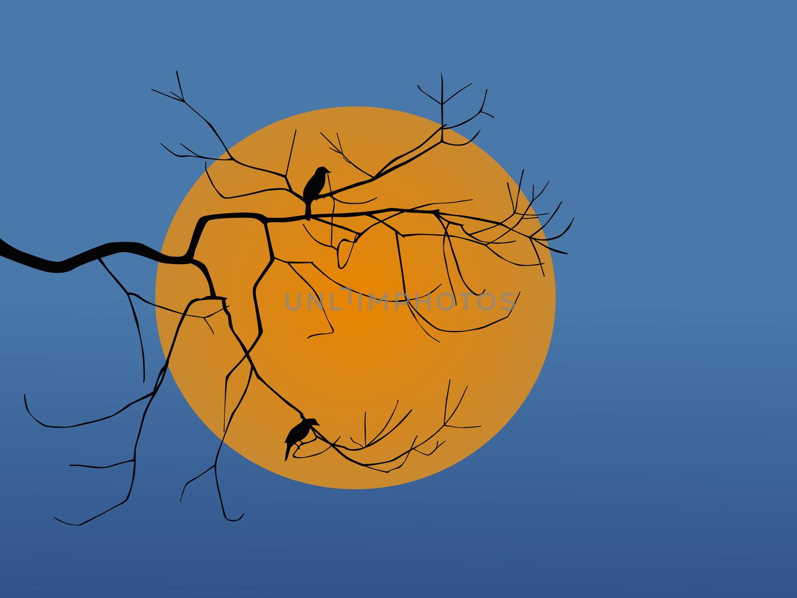 Vector silhouette of bird sitting on a branch sunset