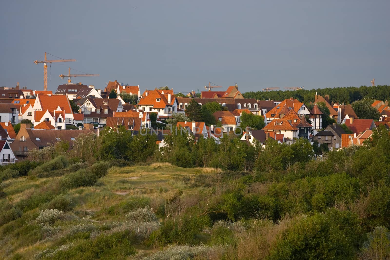 Landscape with flemish style houses