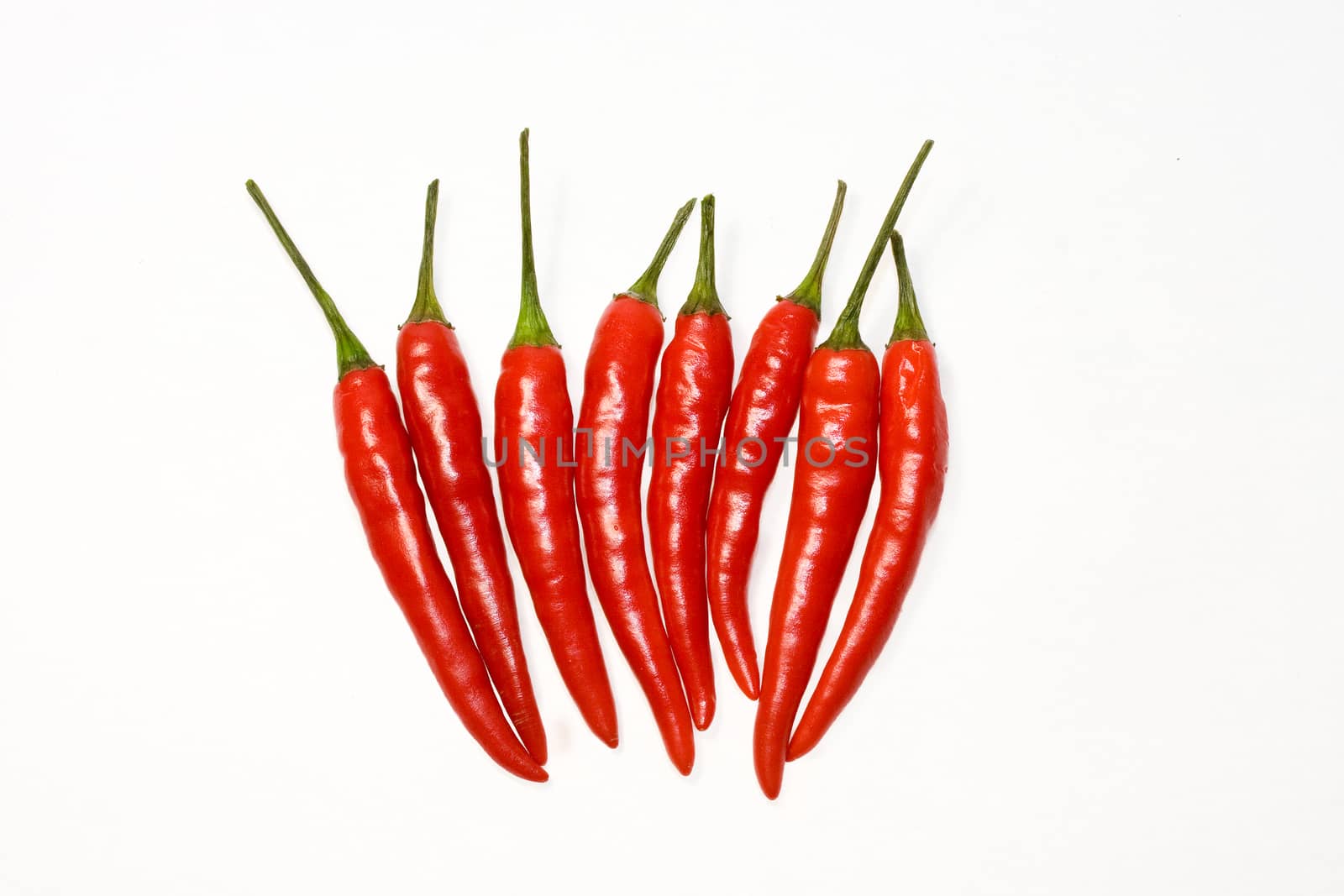 Chili peppers on a white background by aniad