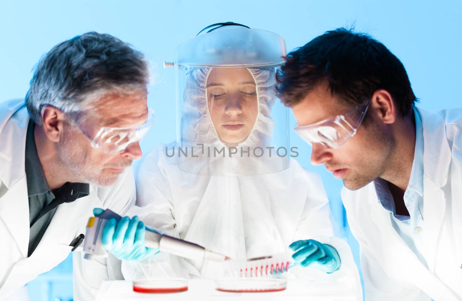 Focused young life science professionals pipetting cell colonies containing media into the petri dish monitoring their growth.