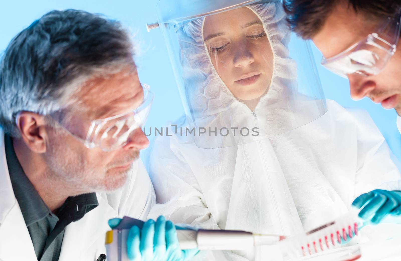 Focused young life science professionals pipetting cell colonies containing media into the petri dish monitoring their growth.