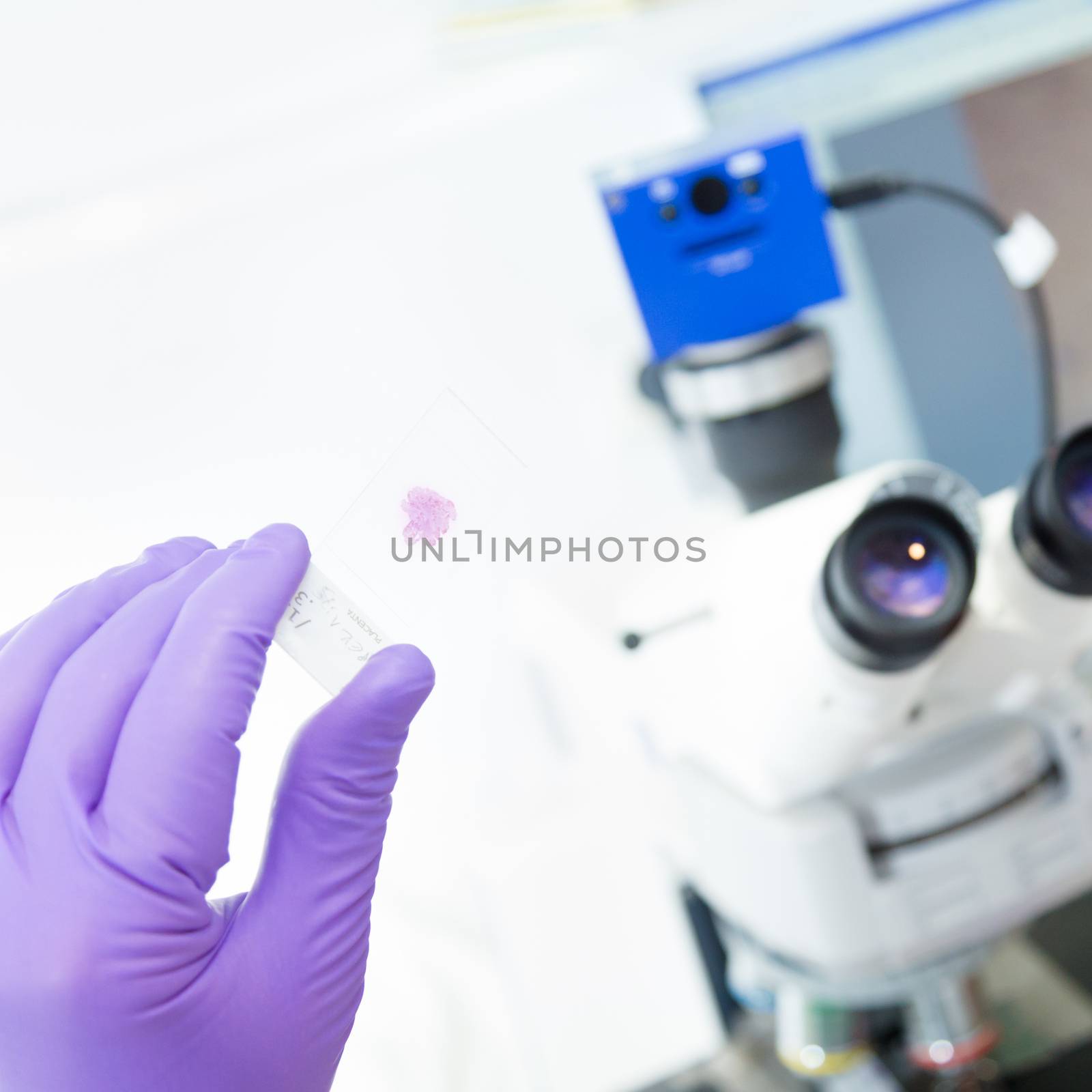 Senior head scientist  microscoping in the life science research laboratory ( diagnostics, biochemistry, pharmacy, genetics, forensics, microbiology, pharmacogenetics ...)