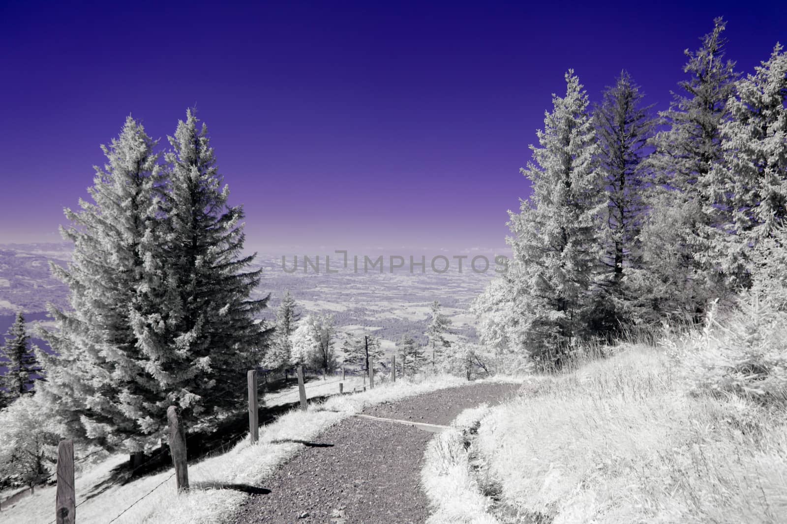 Alp trail ultraviolet filter