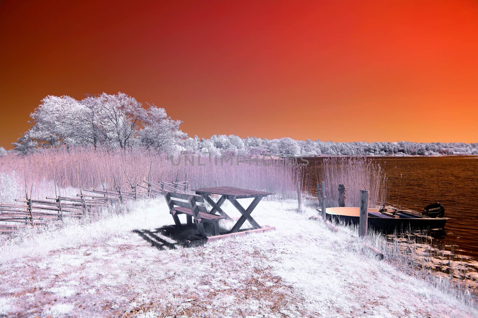 Picnic table by thomas_males