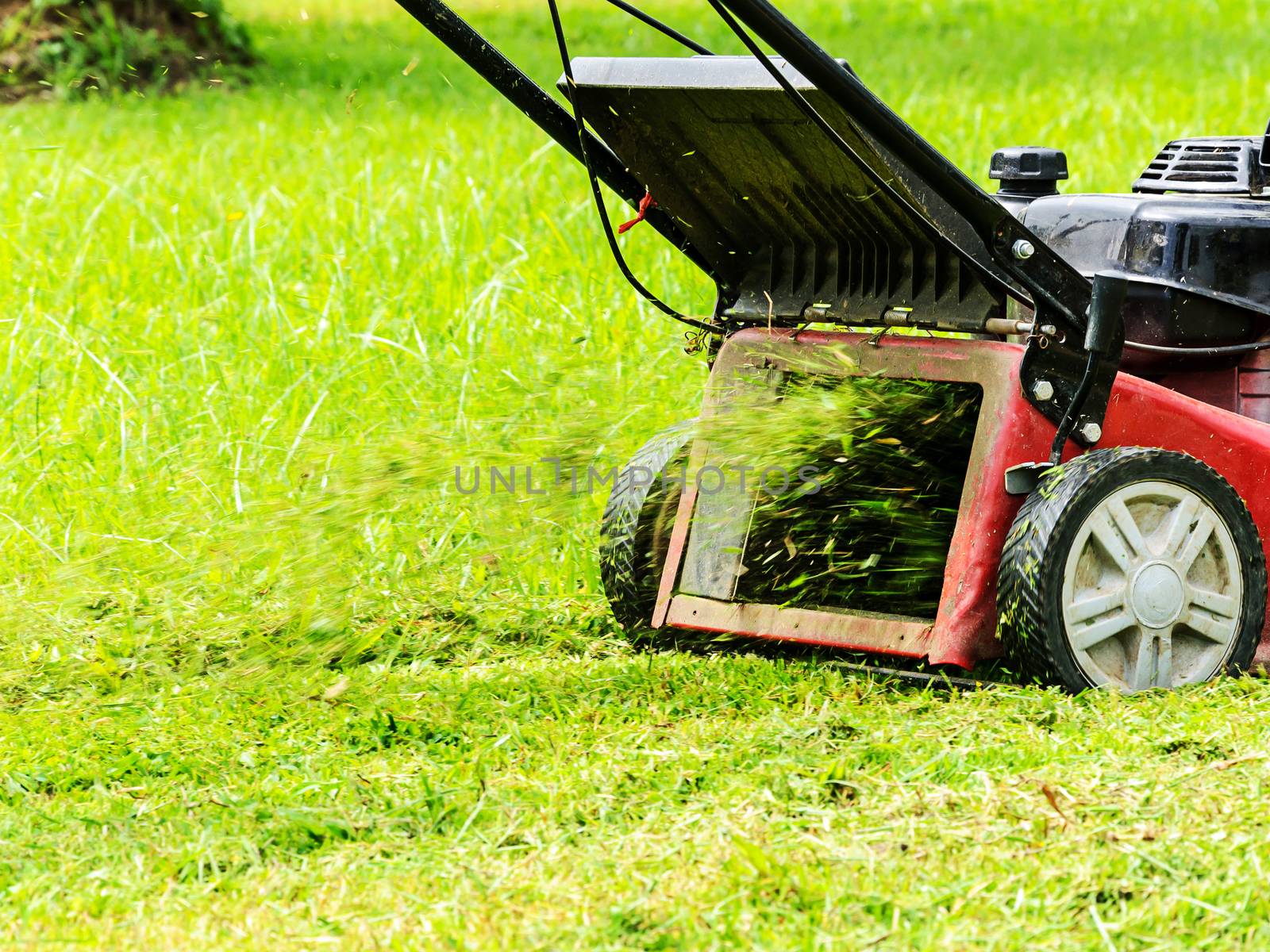 Worker mowing grass with mowing machine 