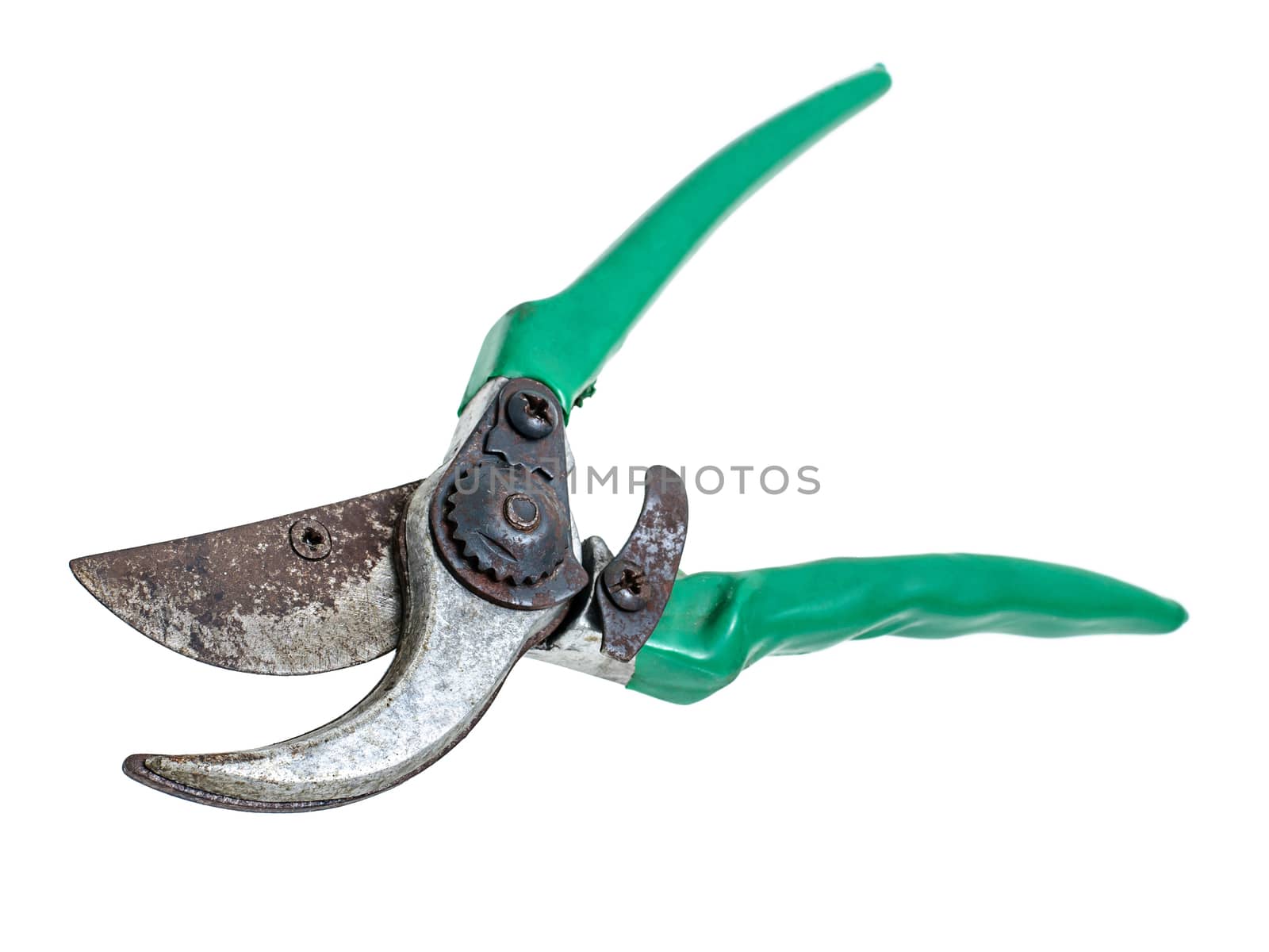 Old garden secateurs isolated on  white background
