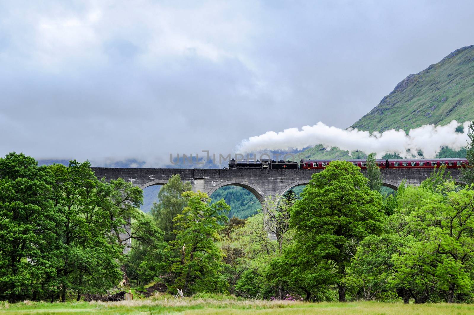 GLENFINNAN, SCOTLAND - June 5, 2014: A steam train on famous Glenfinnan viaduct, well known through Harry Potter as Hogwarts Express on June 5, 2014 in Glenfinnan, Scotland, Great Britain.