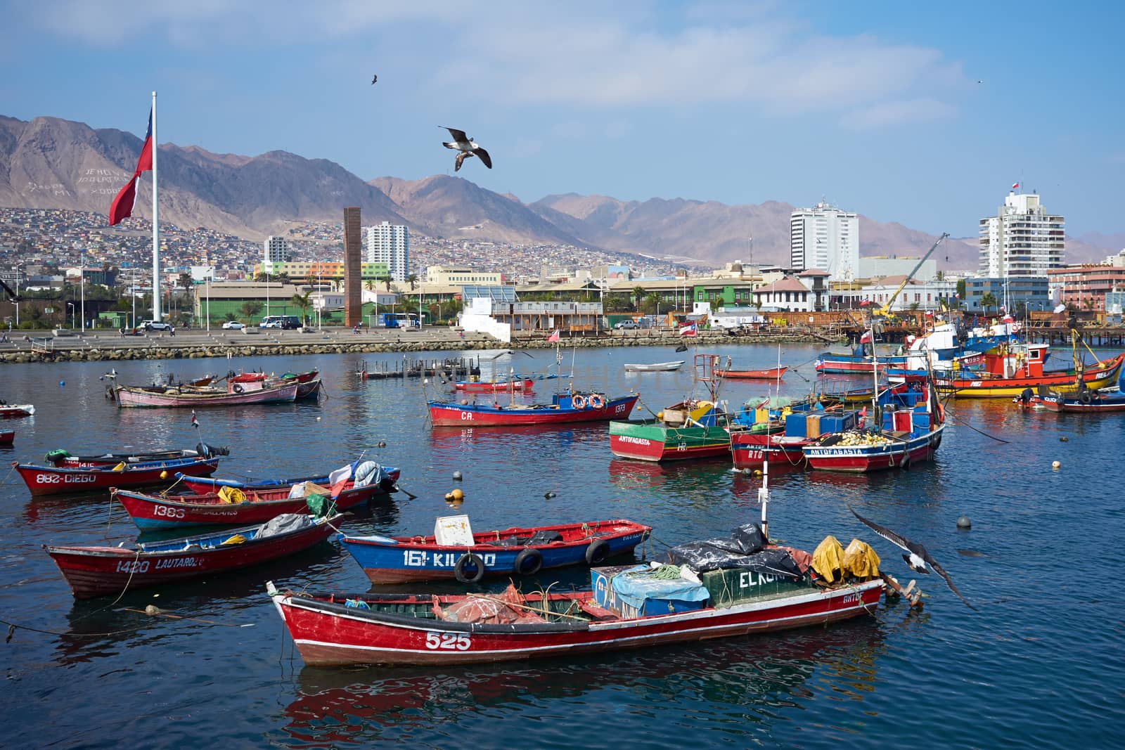 Colourful wooden fishing boats in the harbour at Antofagasta in the Atacama Region of Chile