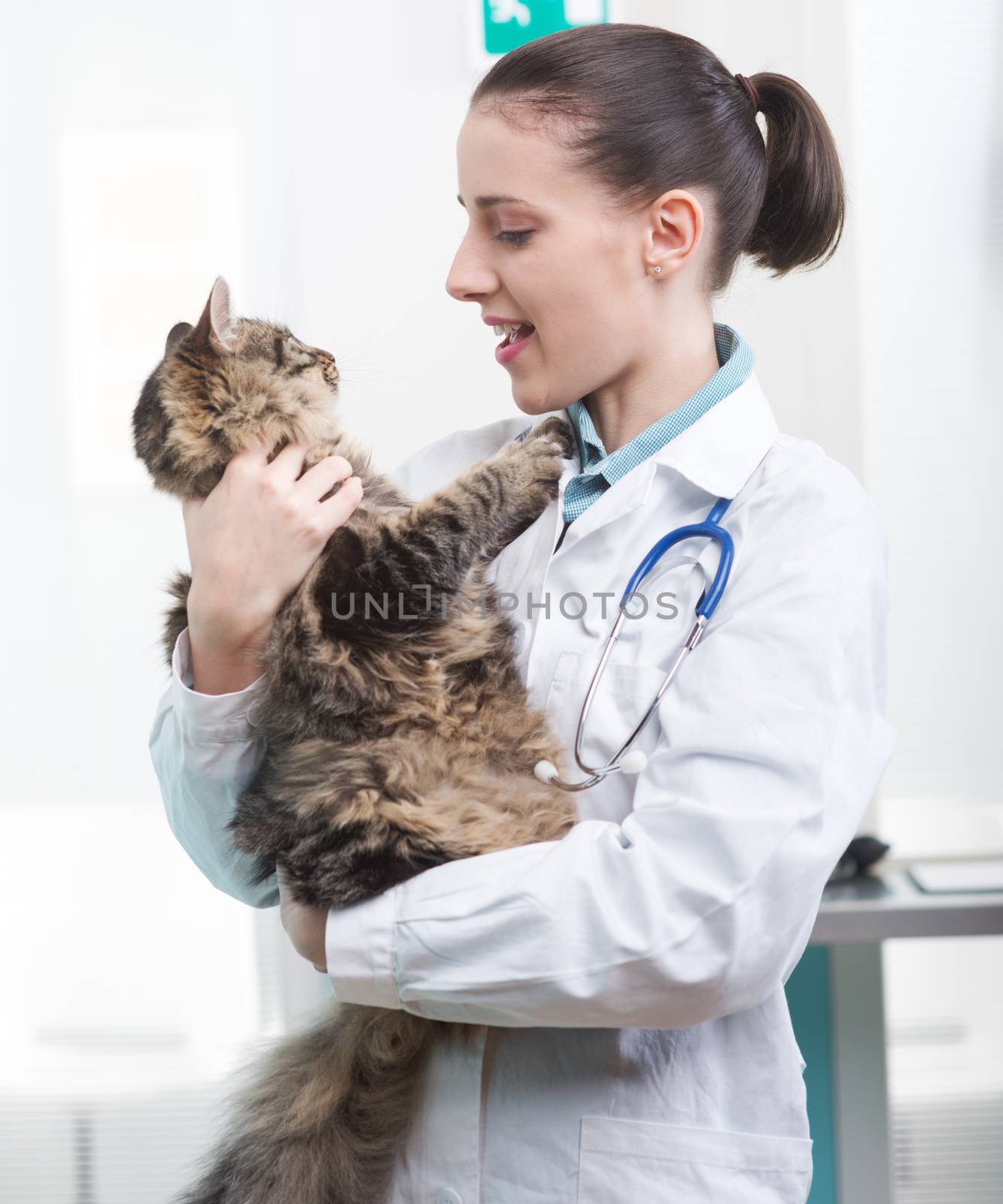 Veterinarian and Cat by stokkete
