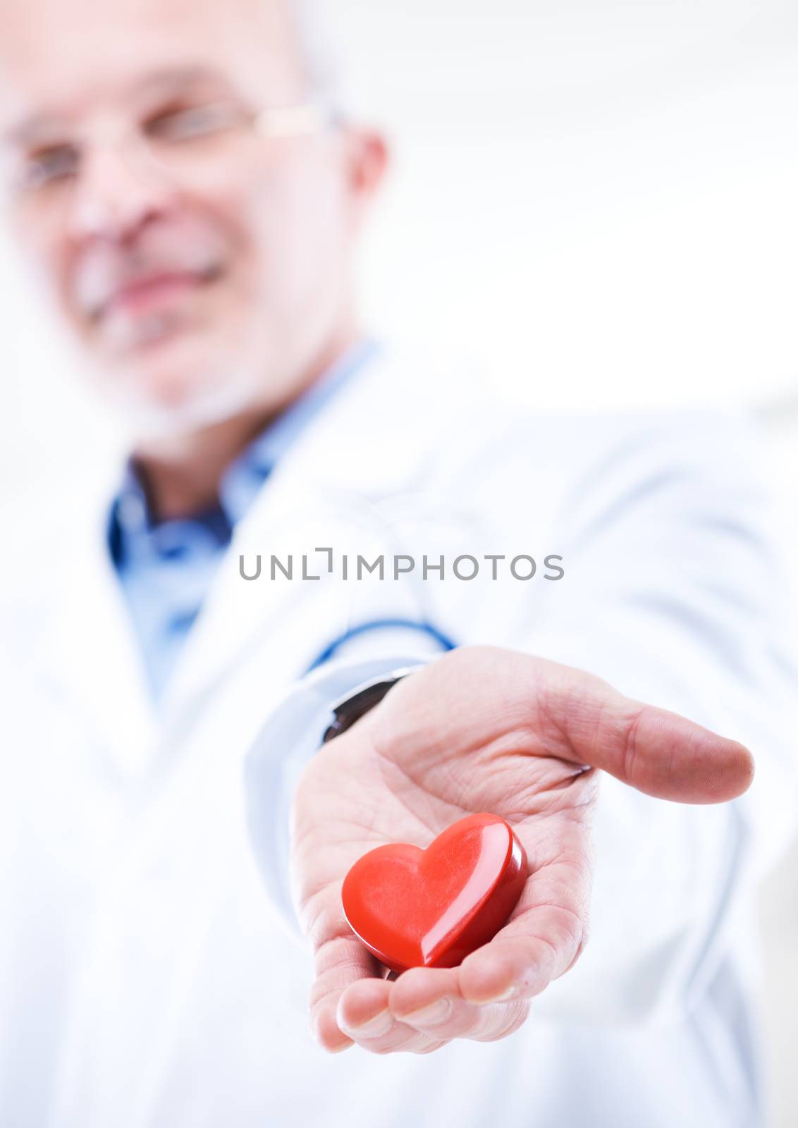 Doctor holding an heart, cardiologist and cardiovascular diseases concept.