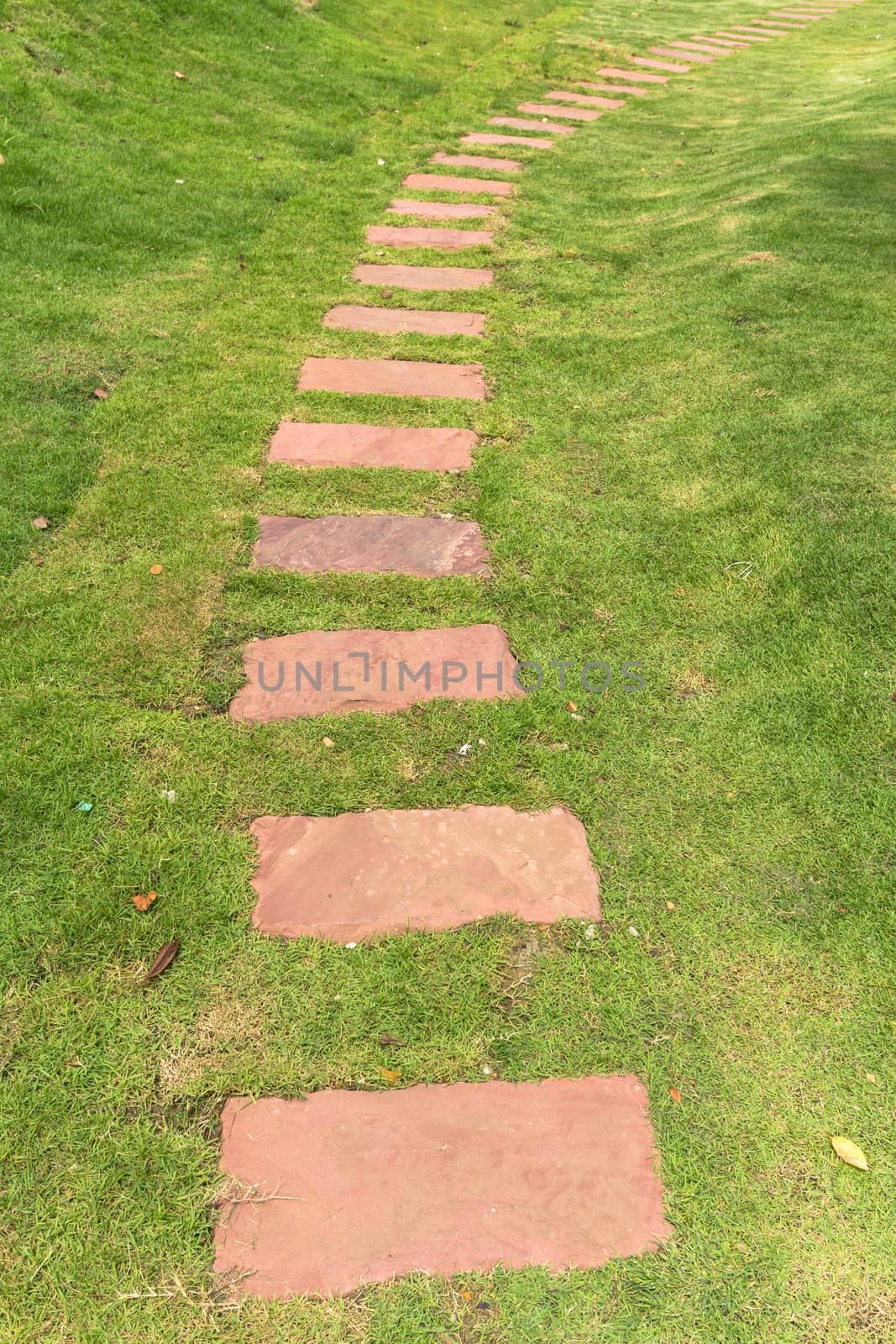 Stone sorted into walkway on the green grass