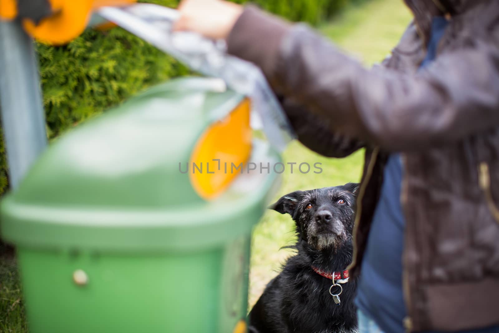 Do not let your dog foul! - Young woman grabbing a plastic bag in a park to tidy up after her dog later