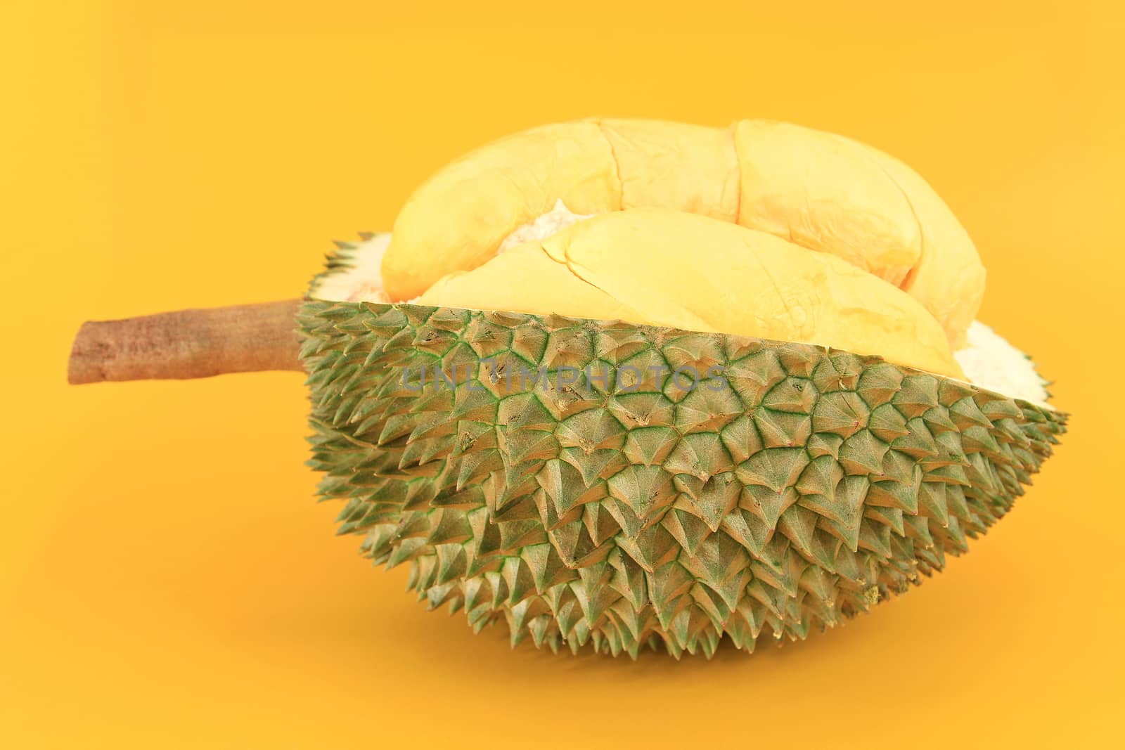 Close up of durian  by foto76
