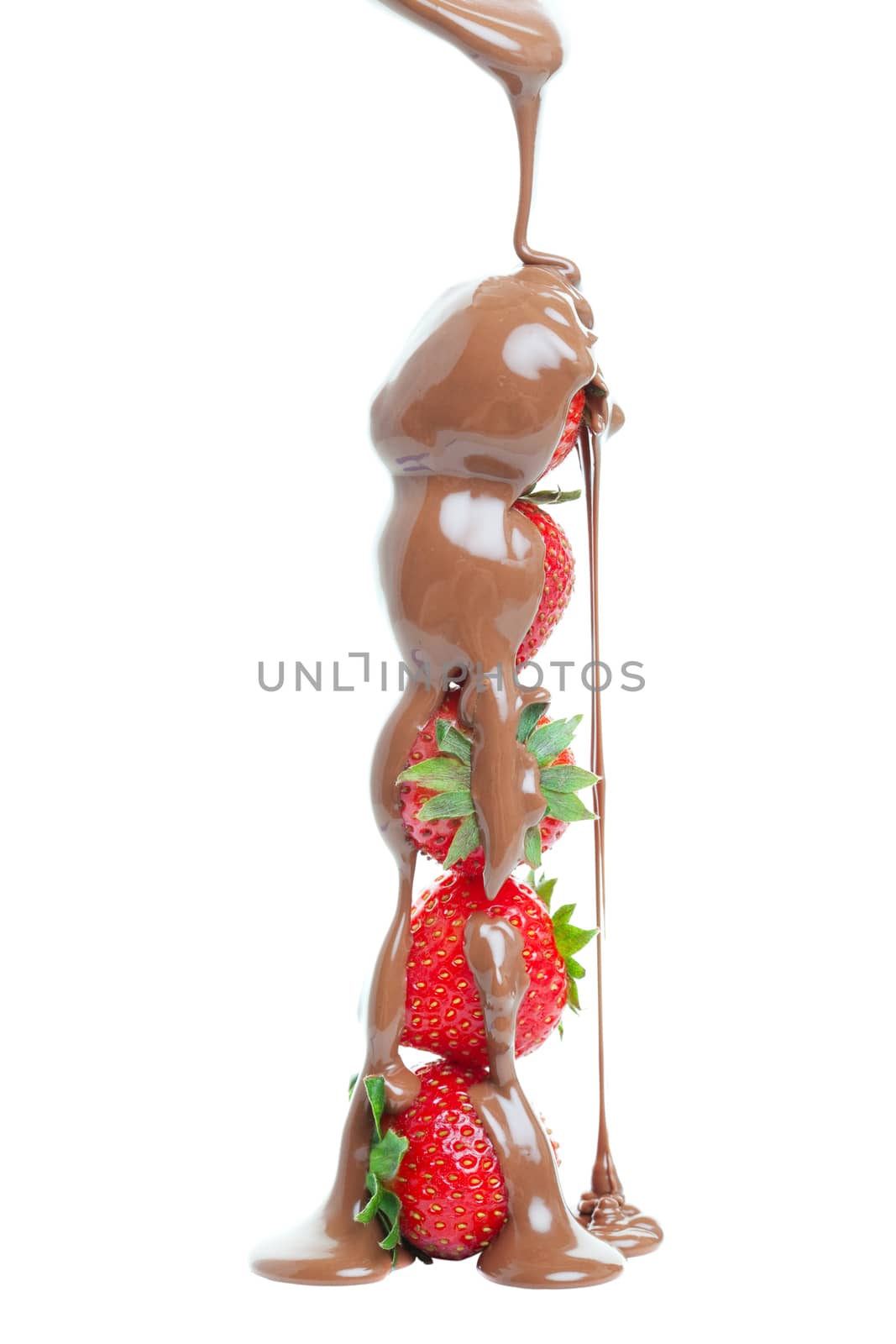 Smooth, warm, milk chocolate being drizzled over a stack of strawberries.  A very decadent dessert.  Shot on white background.