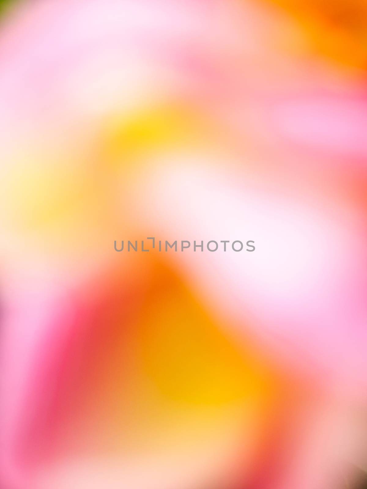 Pink, yellow, abstract background  by NuwatPhoto