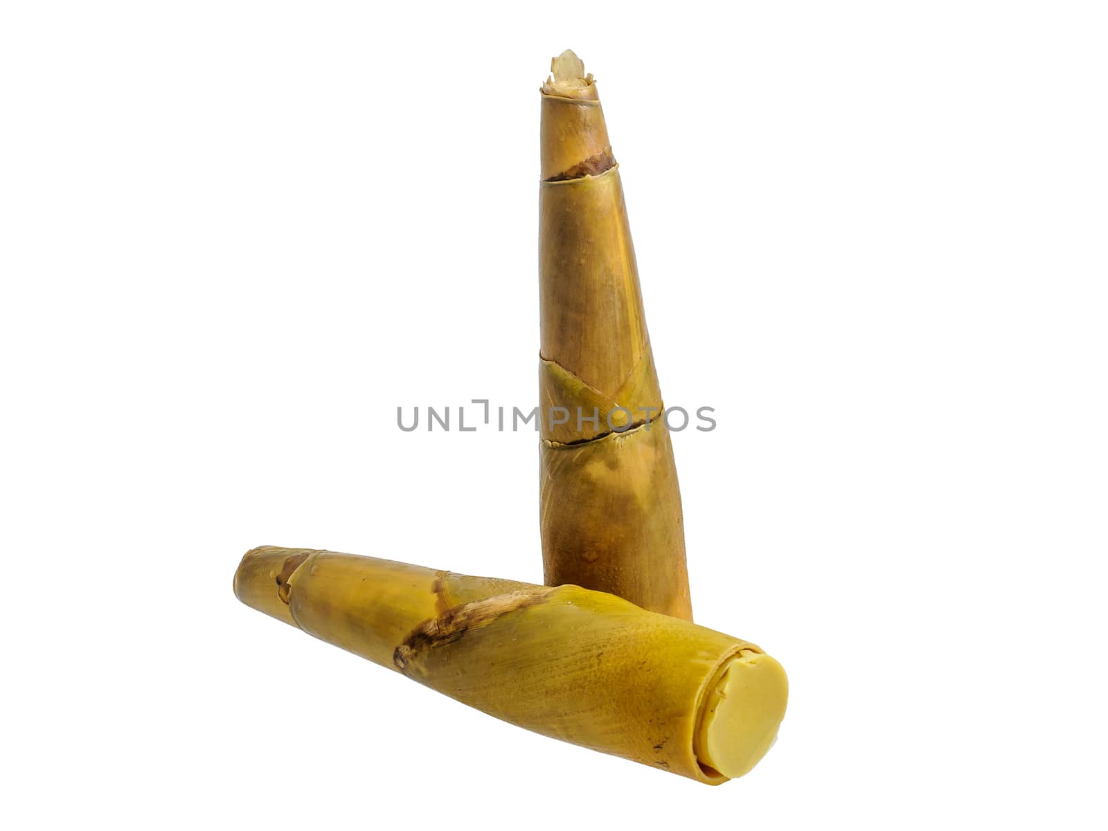 Boiled bamboo shoots isolated by NuwatPhoto