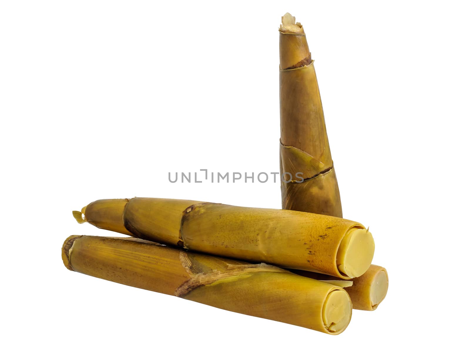 Boiled bamboo shoots isolated by NuwatPhoto