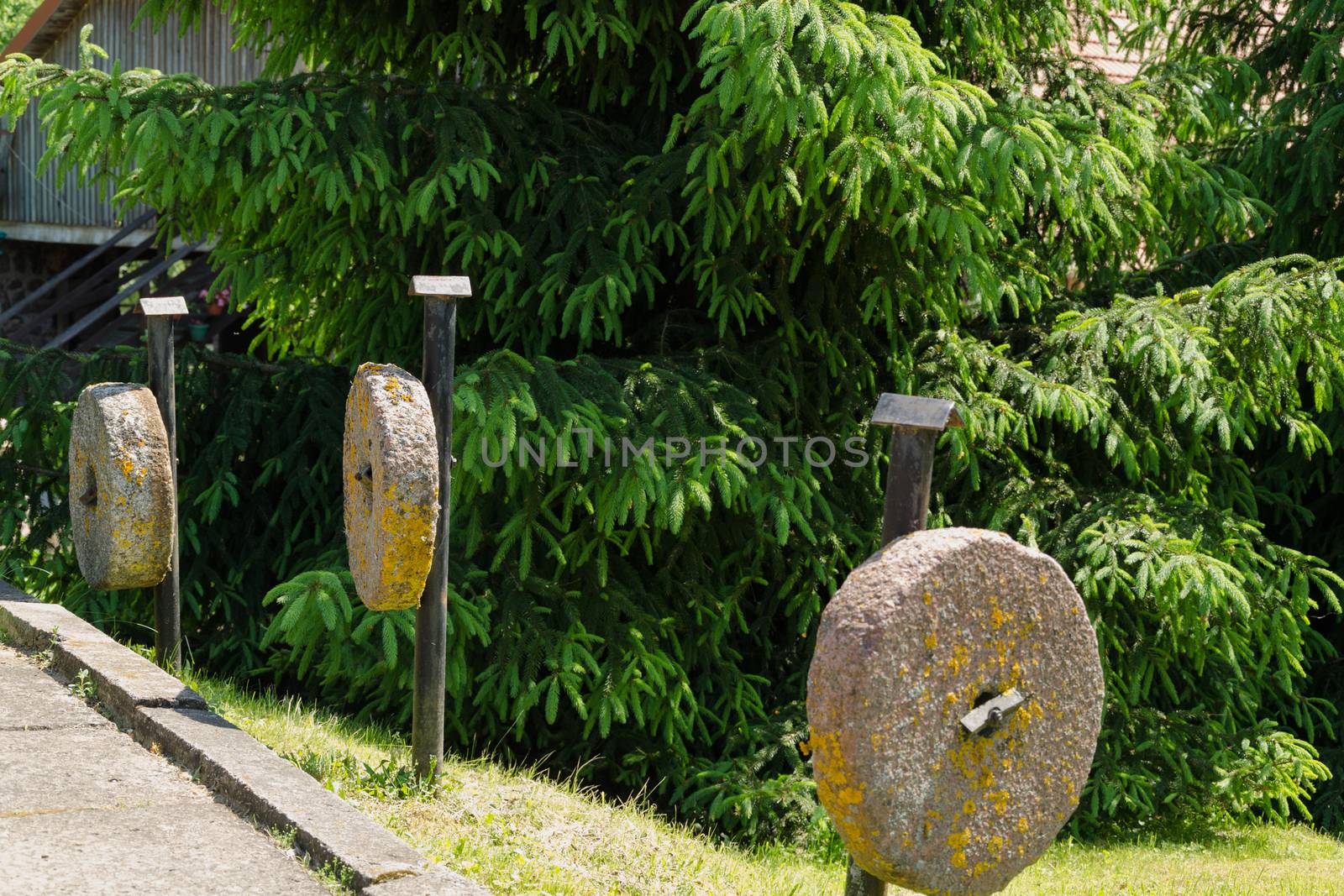 three pillars ancient millstones along hang trees by sauletas