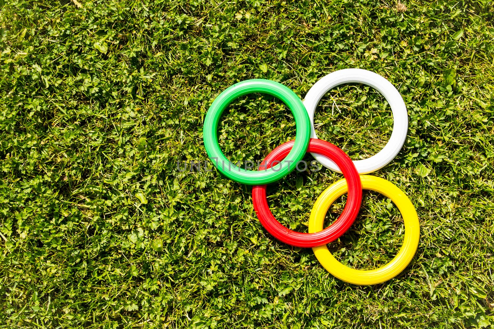 Plastic rings on the green grass background