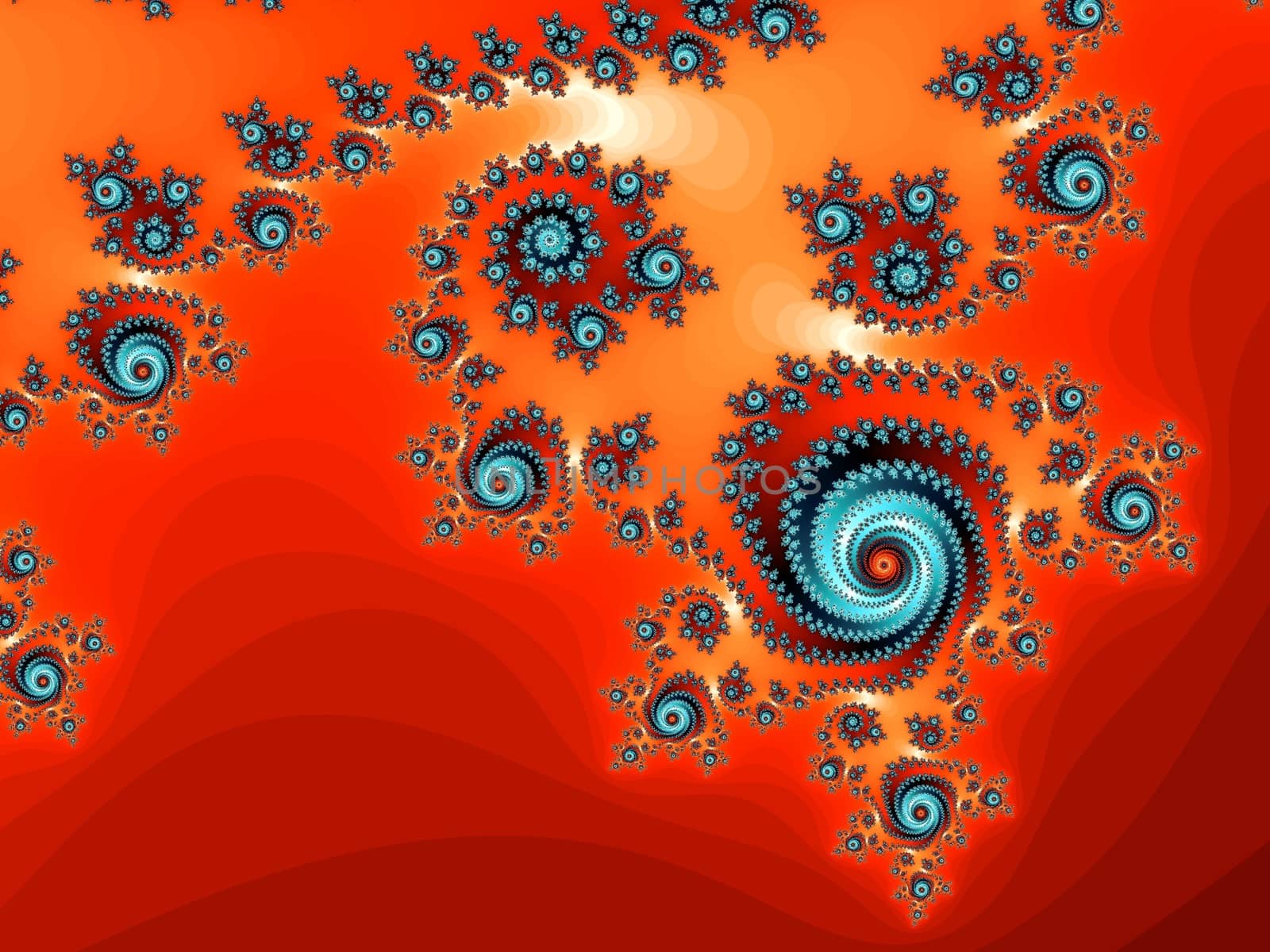 Digital computer graphic - rendering. Decorative fractal spiral on a red background for design