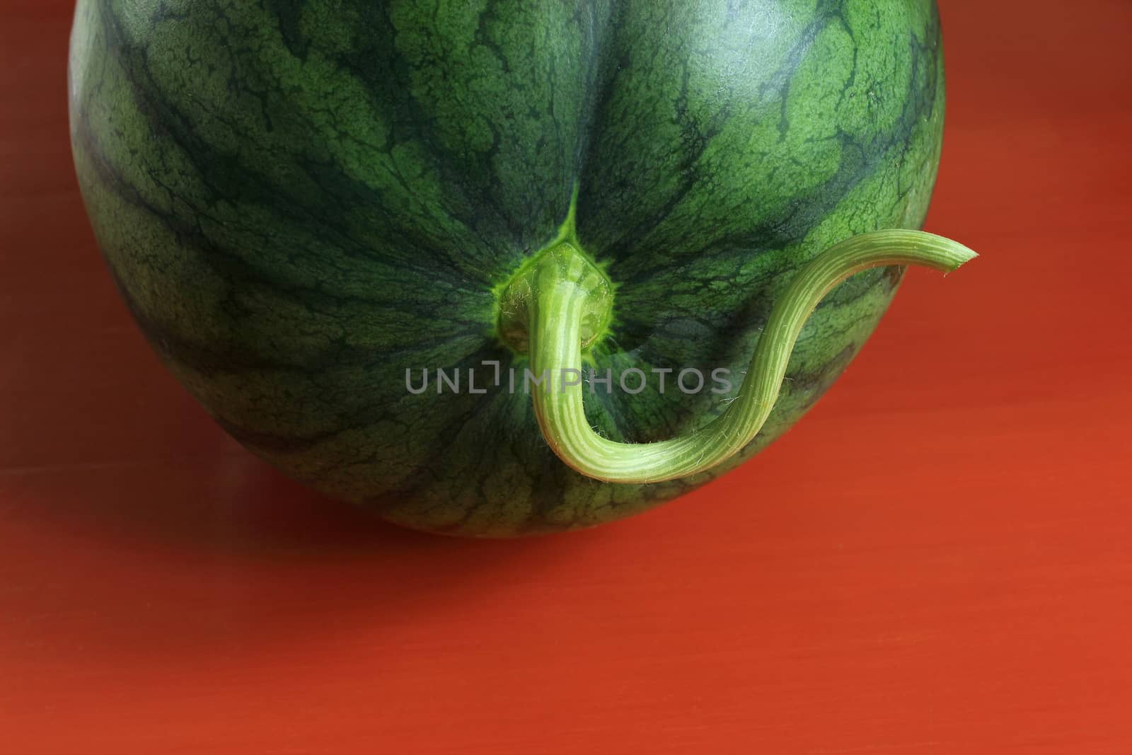 Close up of Watermelon