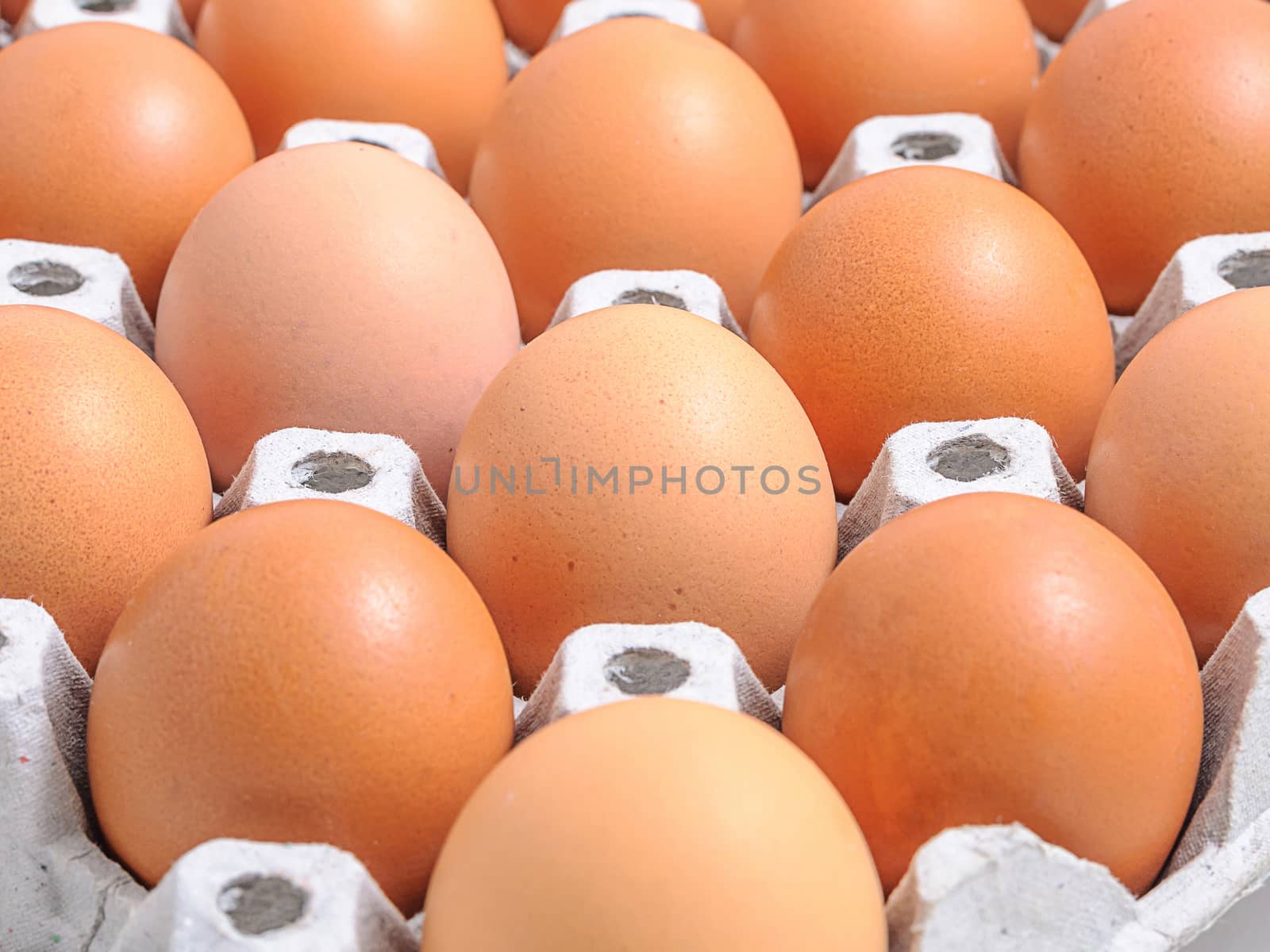 Chicken eggs by NuwatPhoto