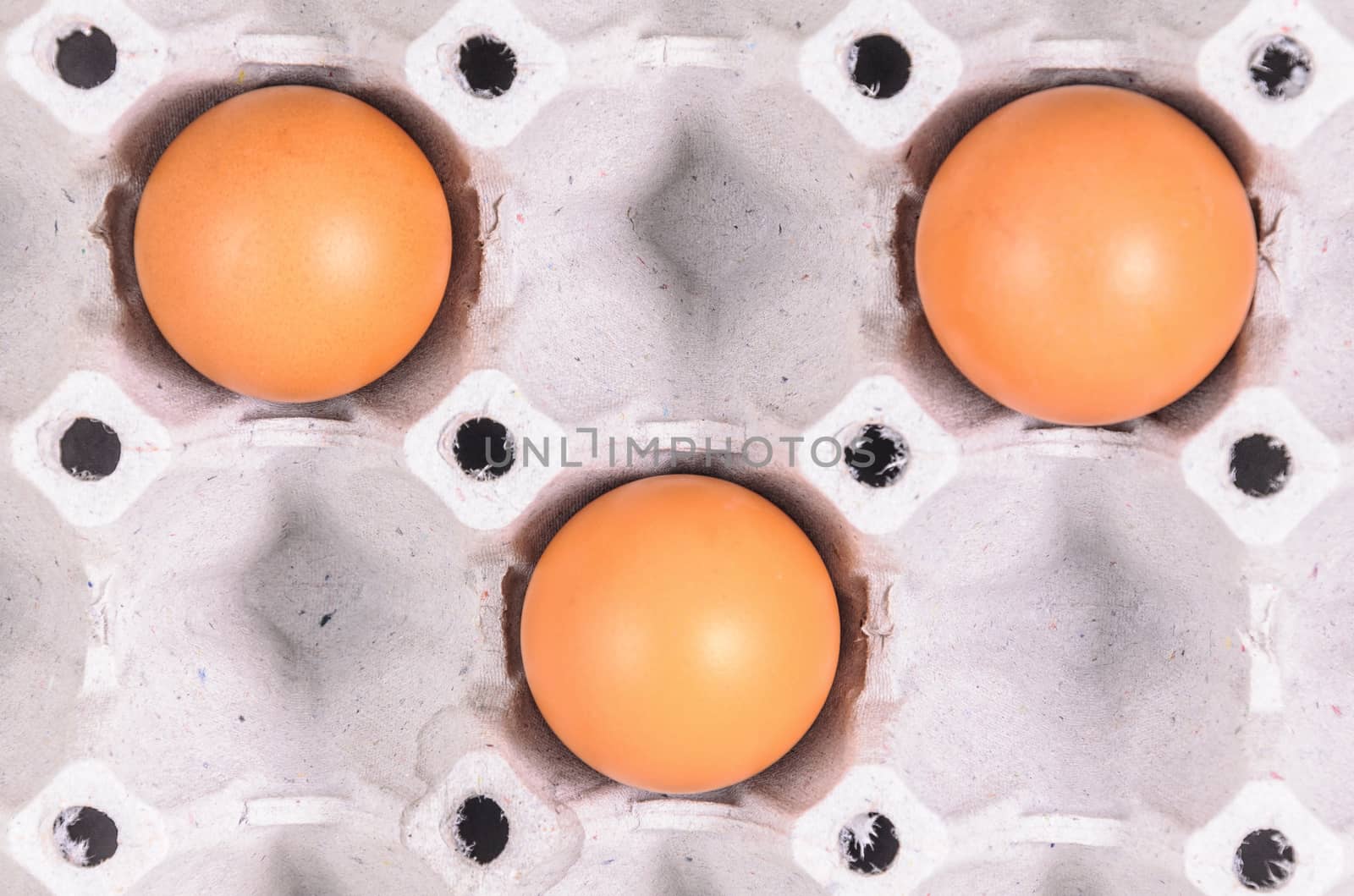 Chicken eggs in egg tray 