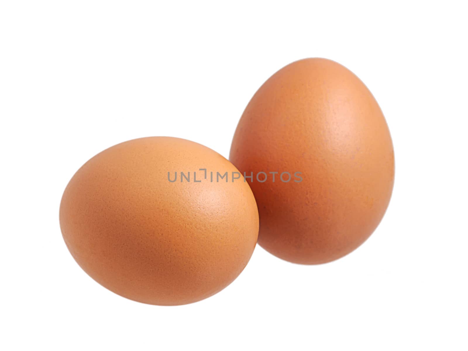 Chicken eggs isolated by NuwatPhoto