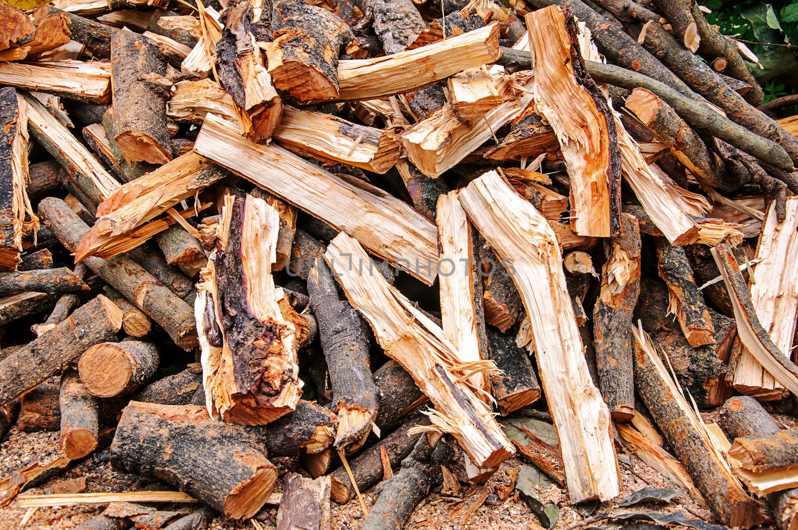 Pile of drying split firewood 