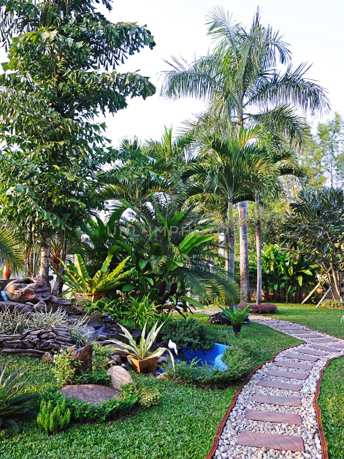 Landscaping in the garden. The path in the garden.