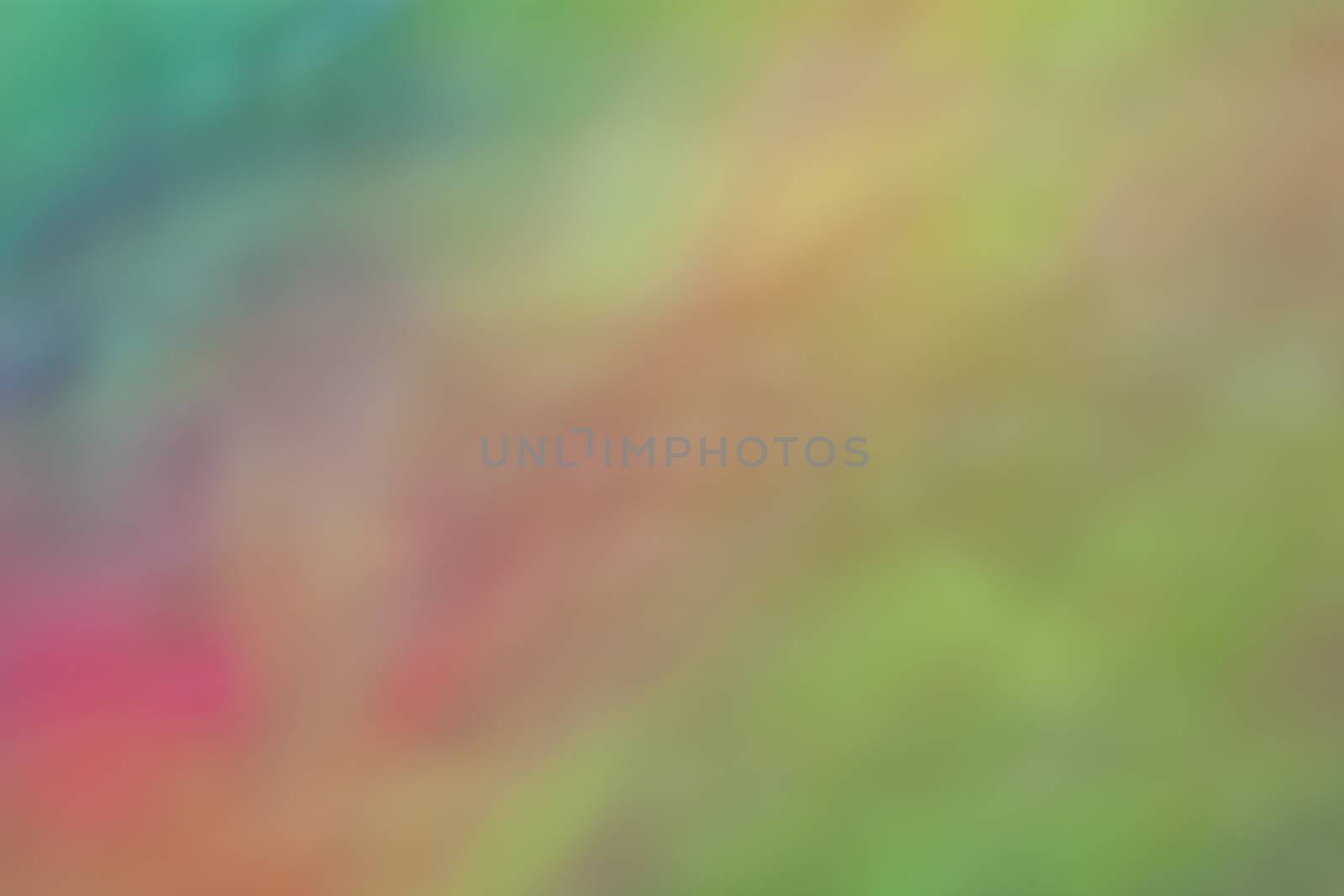 A buttery soft floral blur background.  A perfect backdrop for your design or work of art.  Unfiltered, natural background.