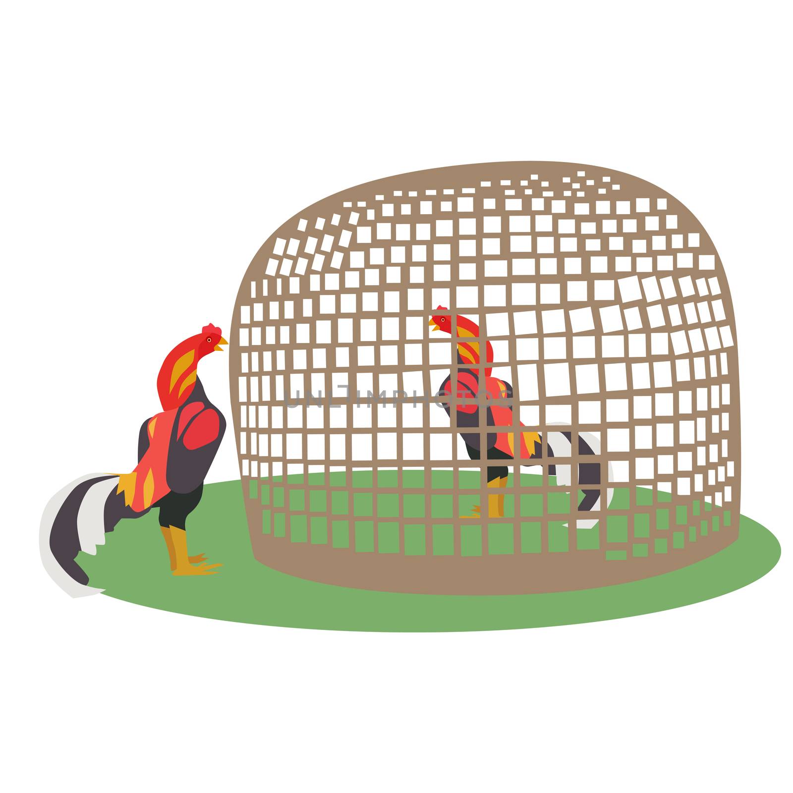 Vector and illustration of chicken in bamboo coop