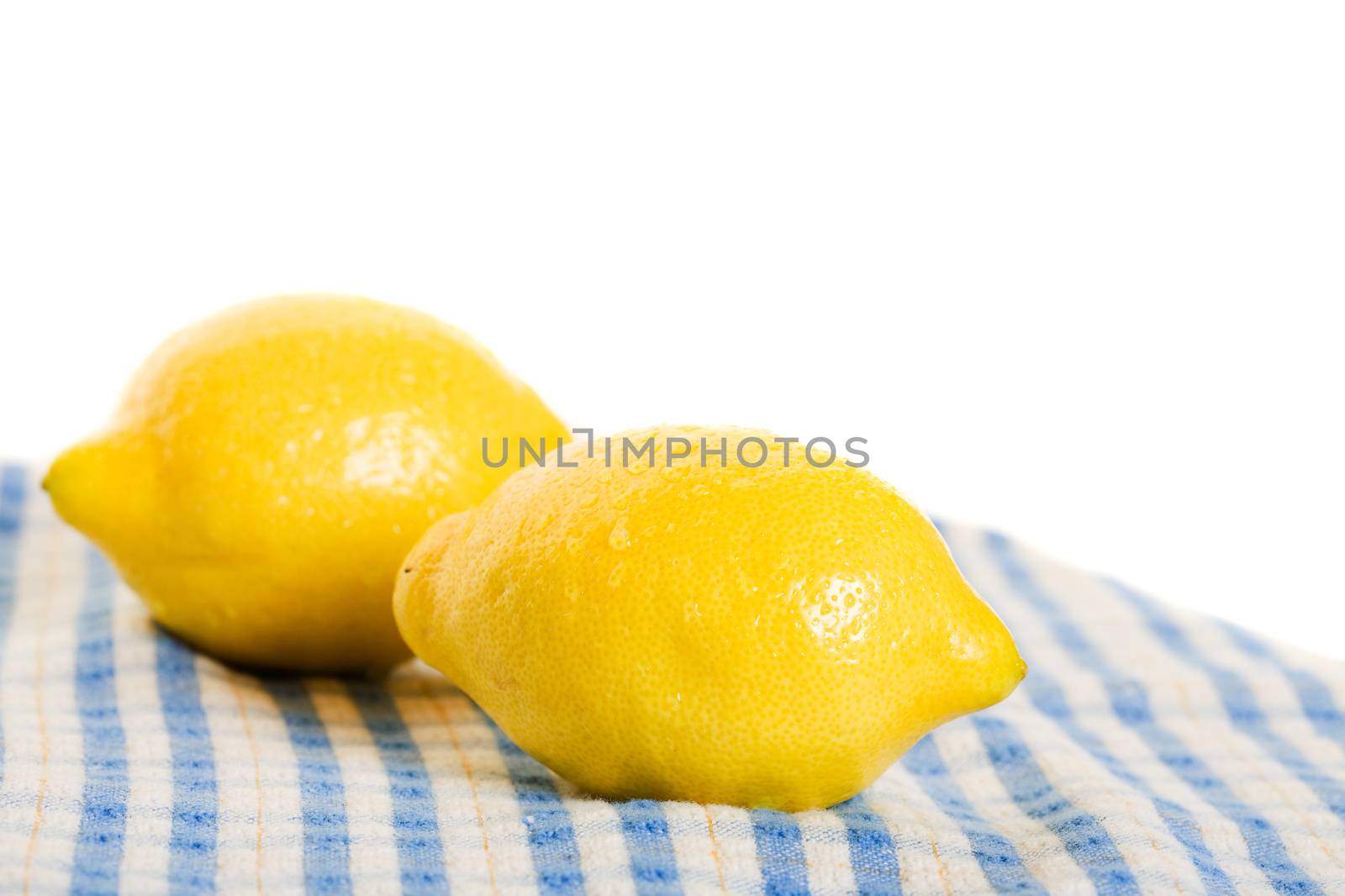 Fresh Lemons by songbird839