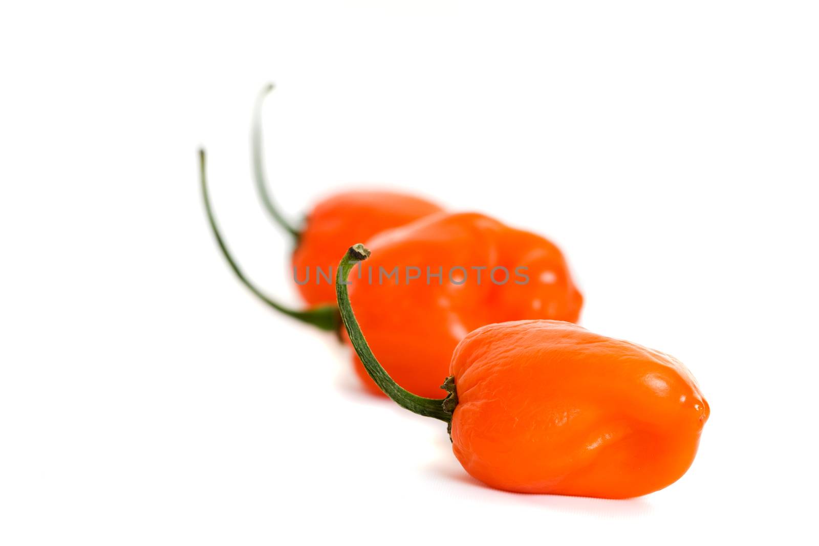 Three Habanero chili peppers in a row.  Focus on first pepper.